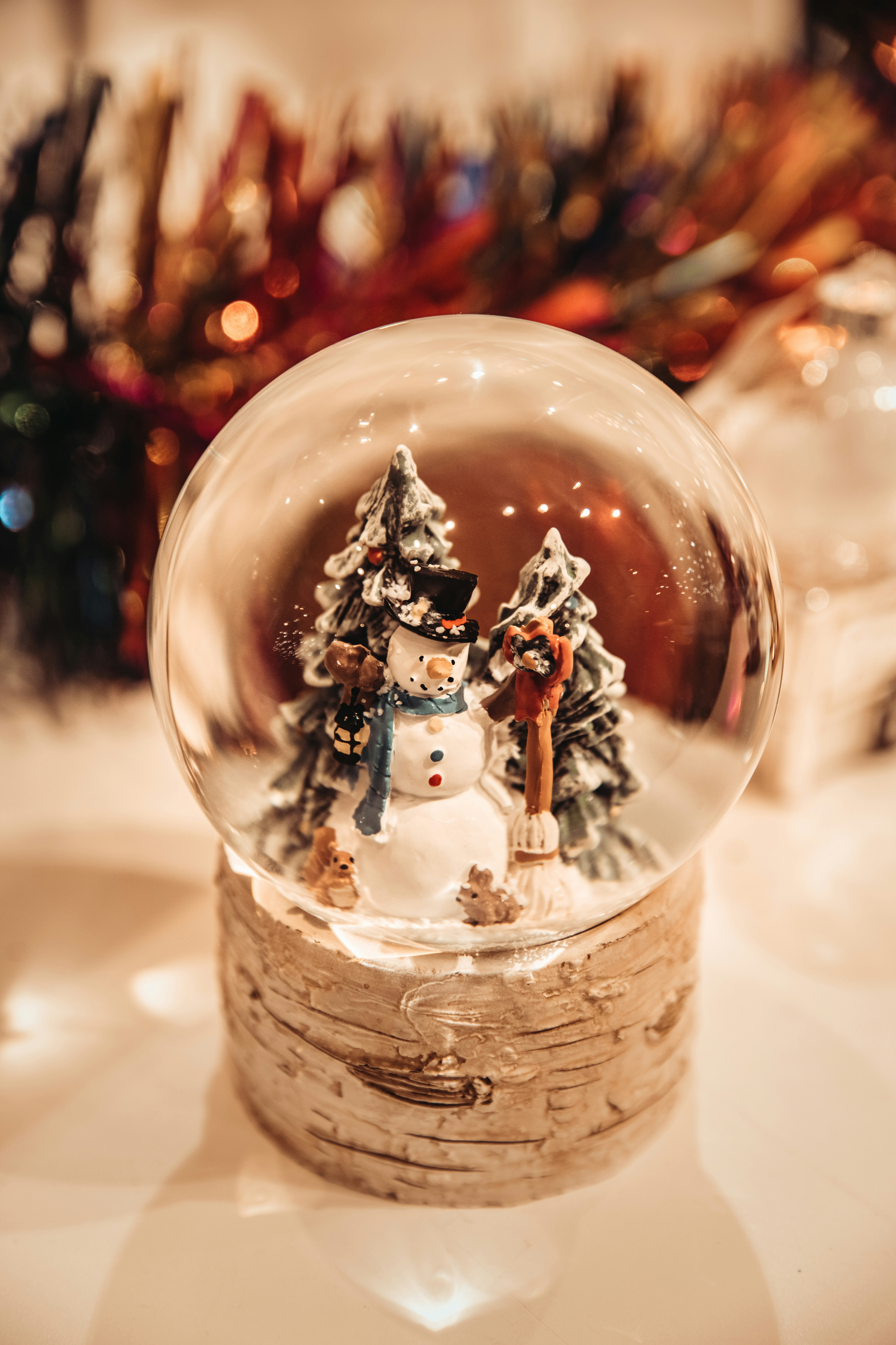 Photo by anitaaustvika