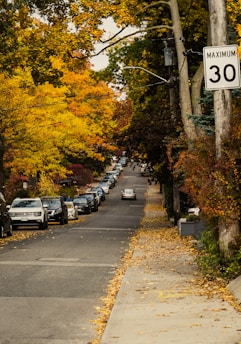 a road with cars parked along it