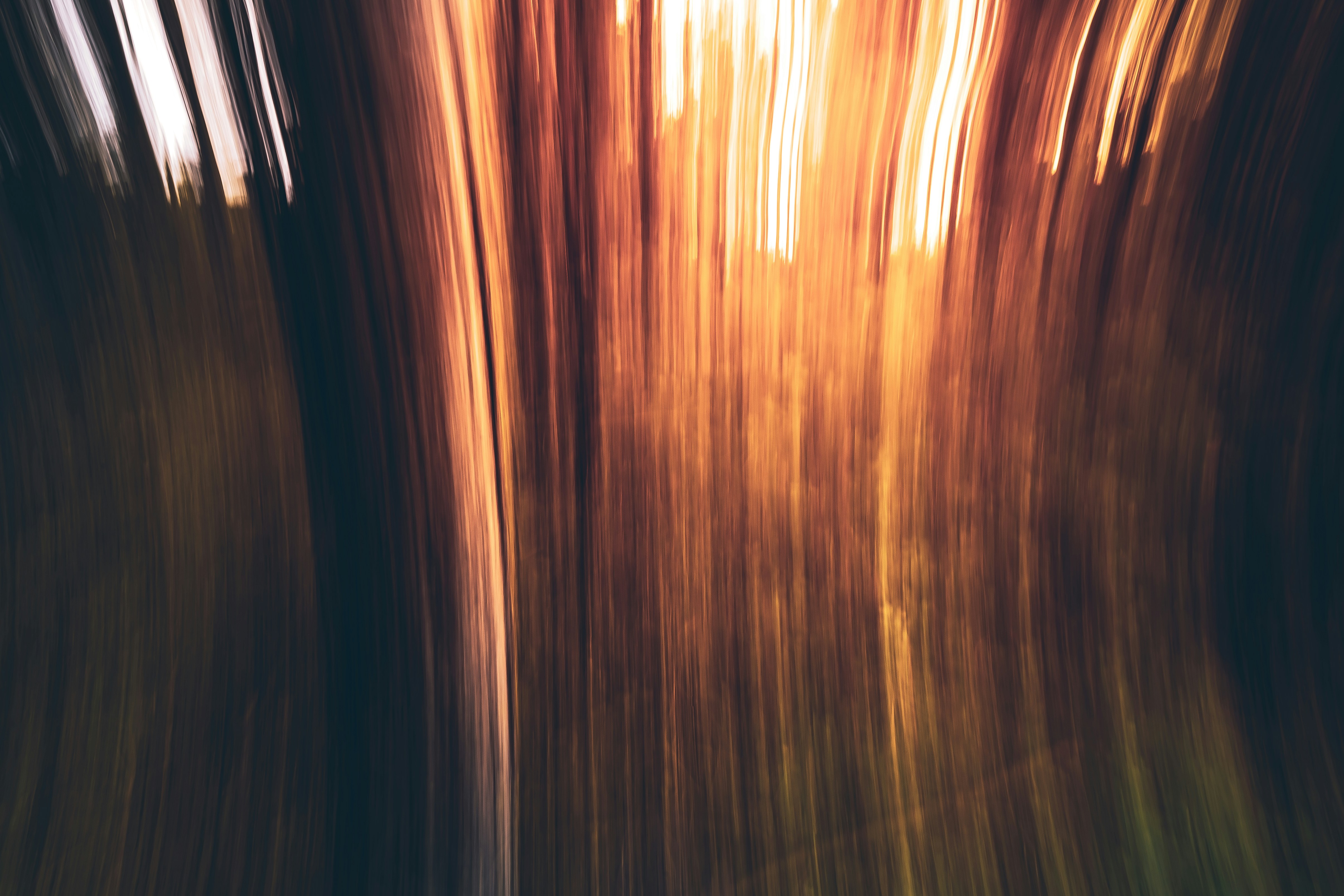 Photo by marekpiwnicki