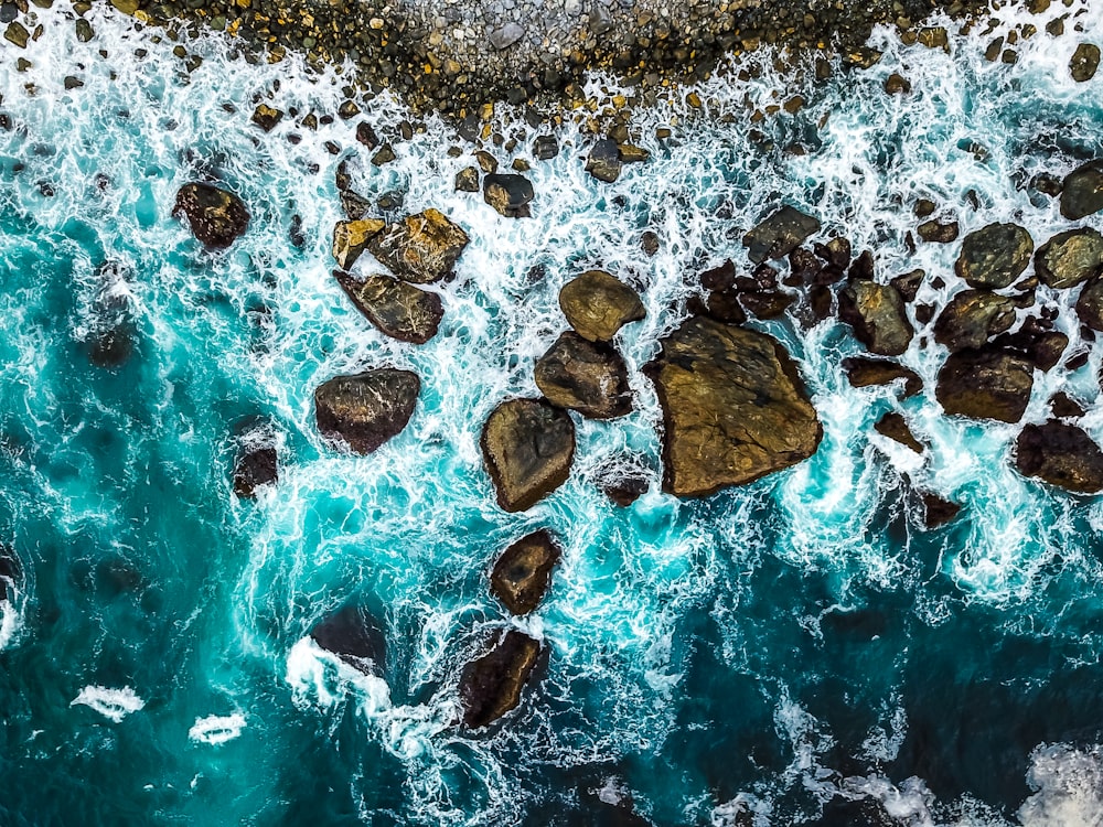 rocks in the water