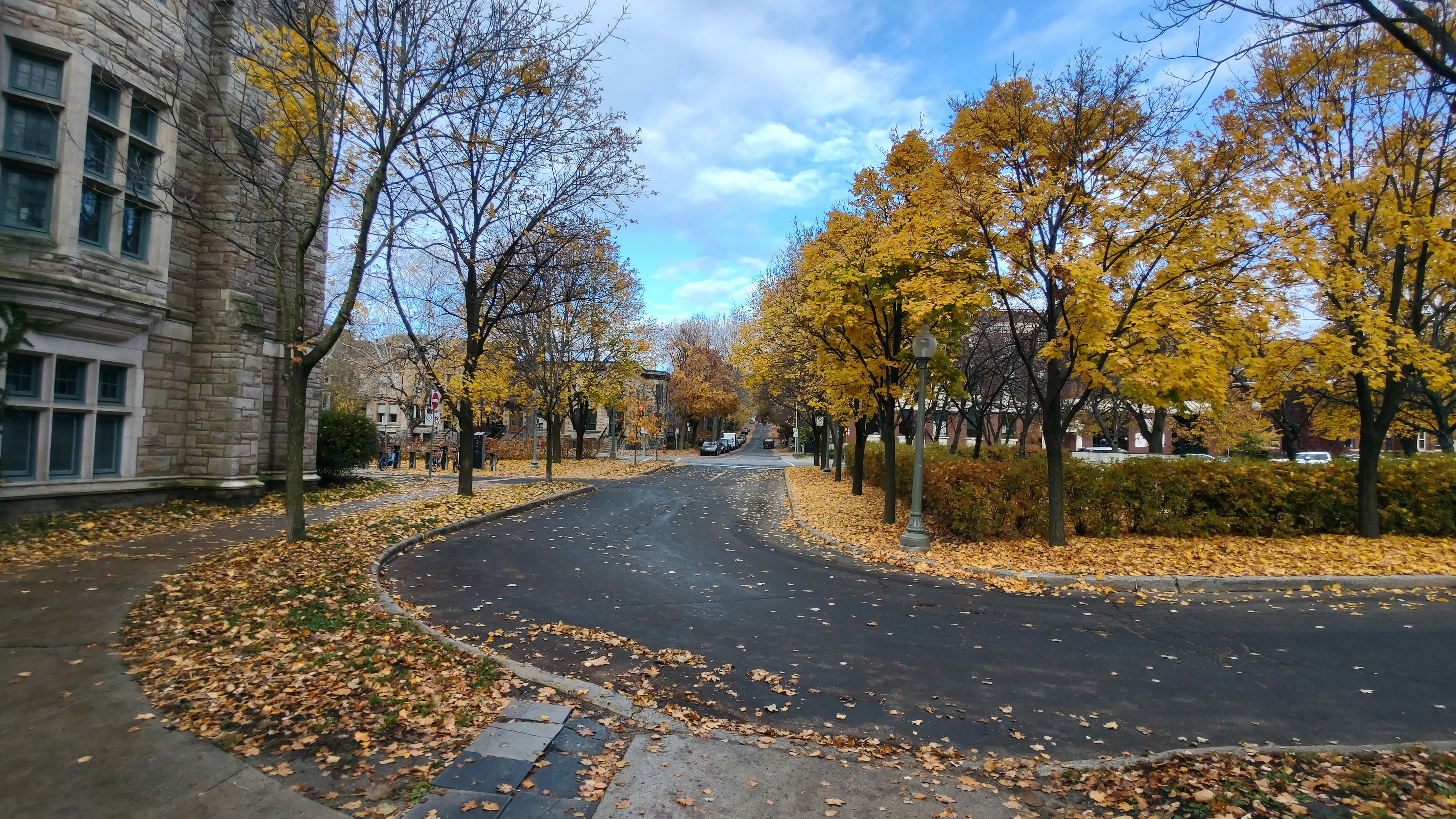 Photo by zahraahmadi