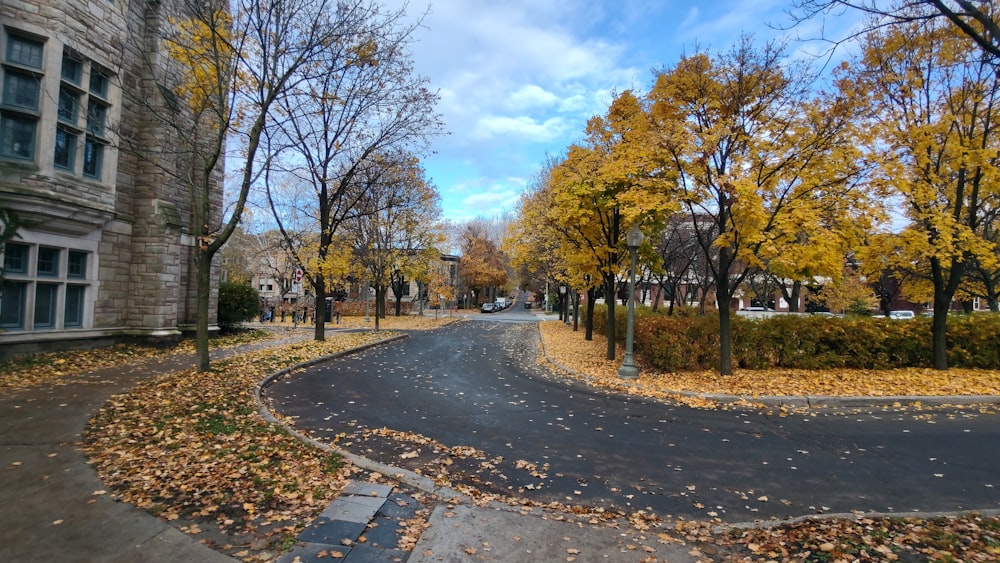 eine Straße mit Bäumen an der Seite