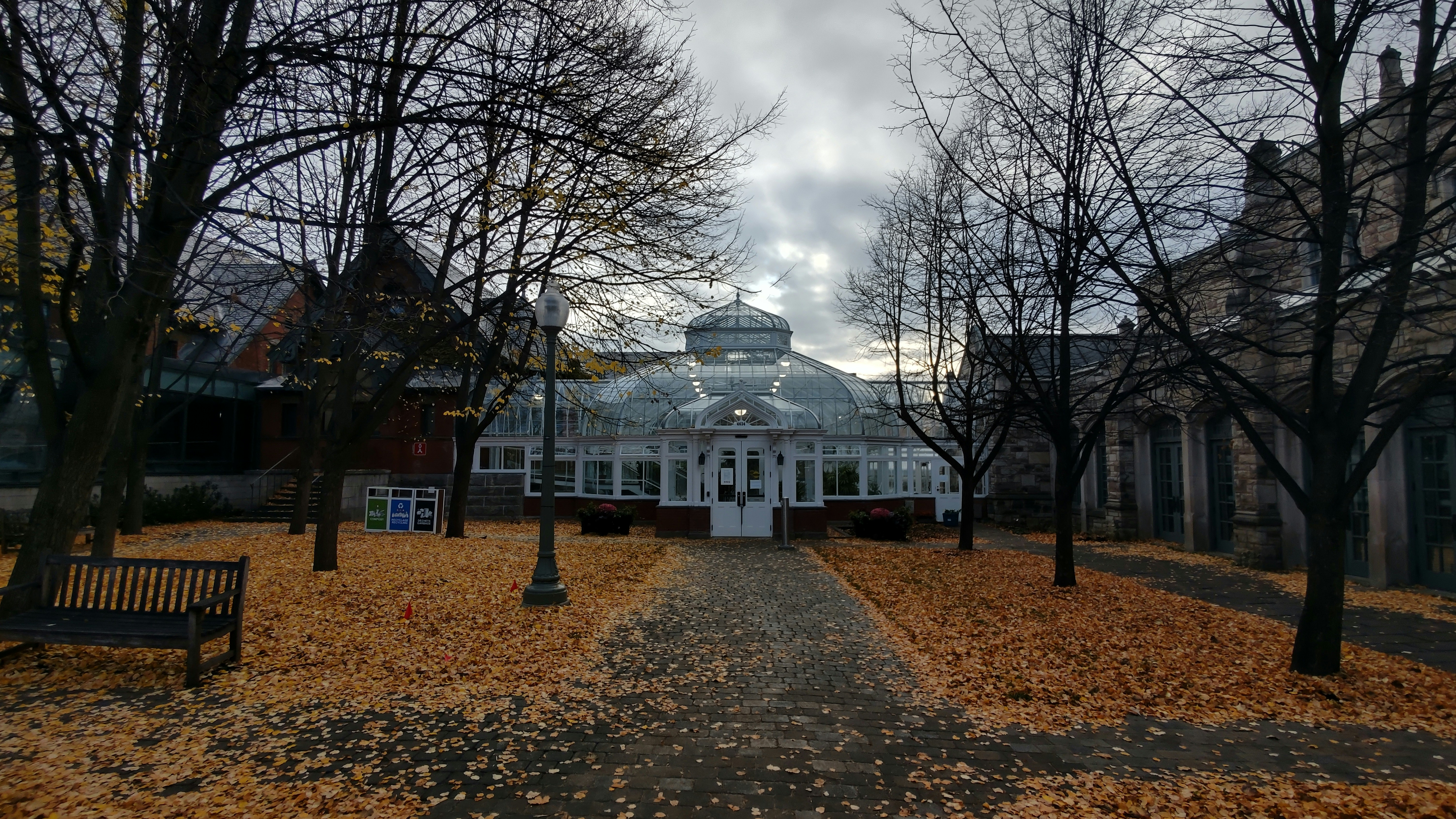 shannon municipal library