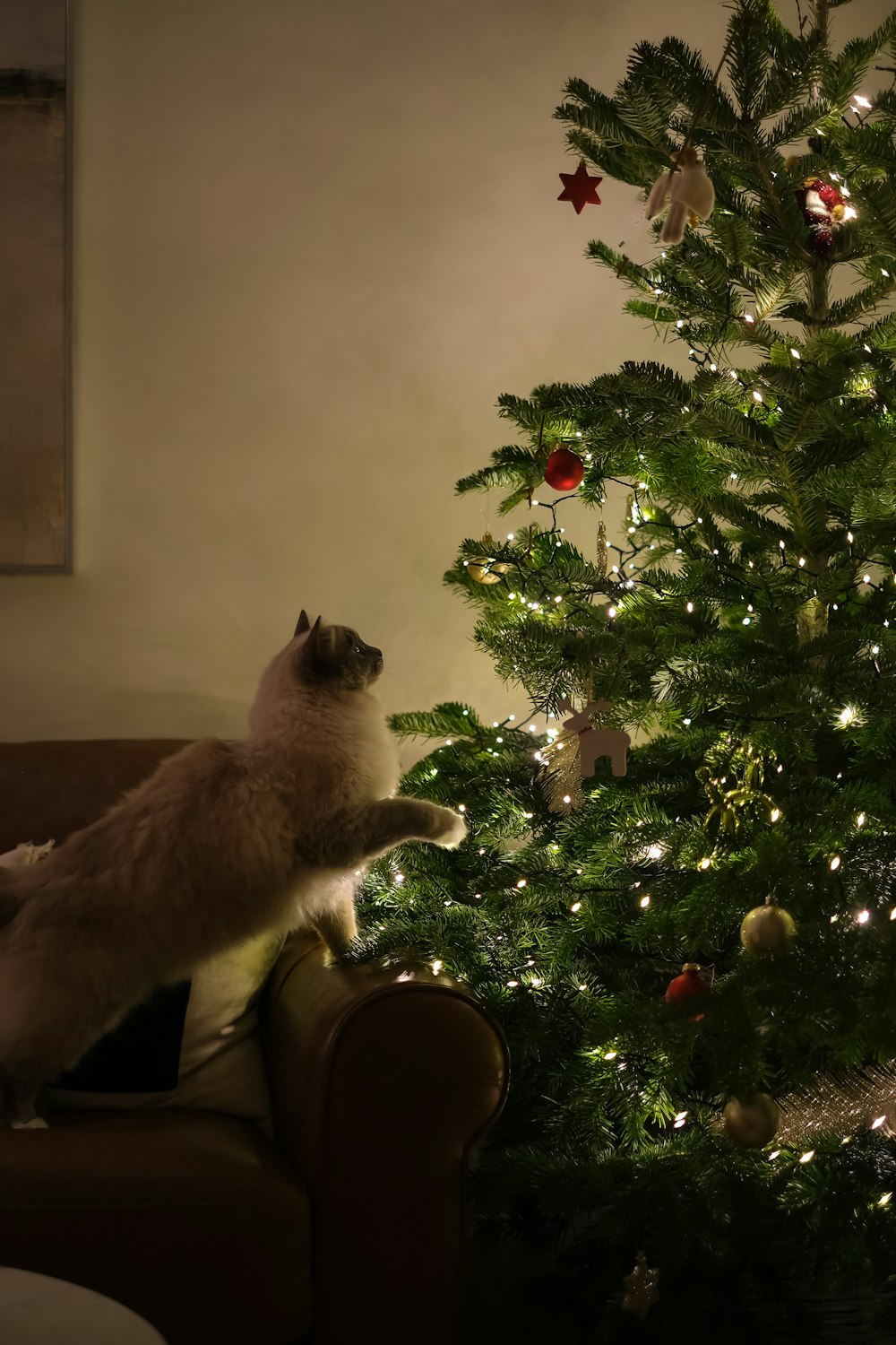 a cat sitting on a couch next to a christmas tree