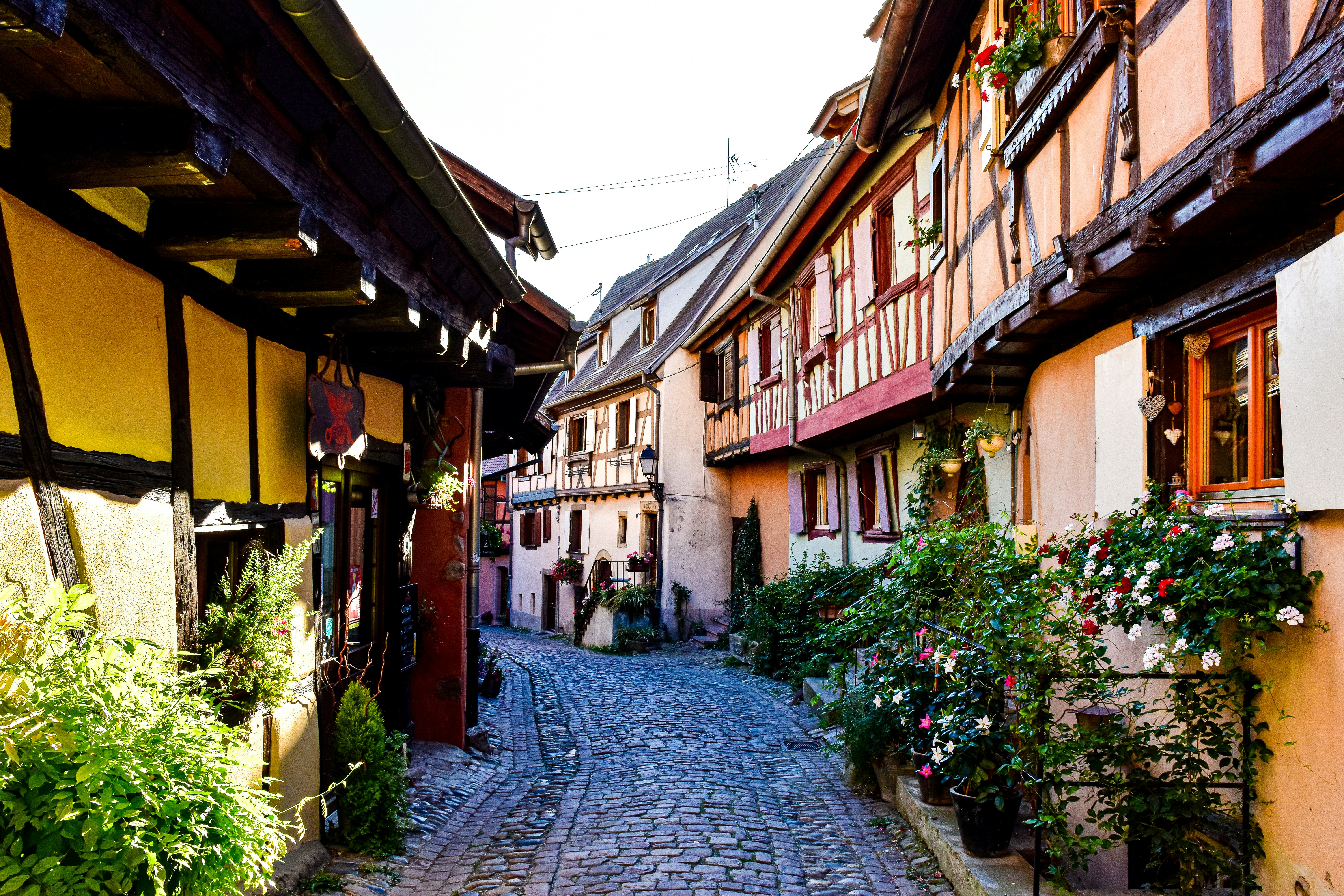 Alsace, France.
