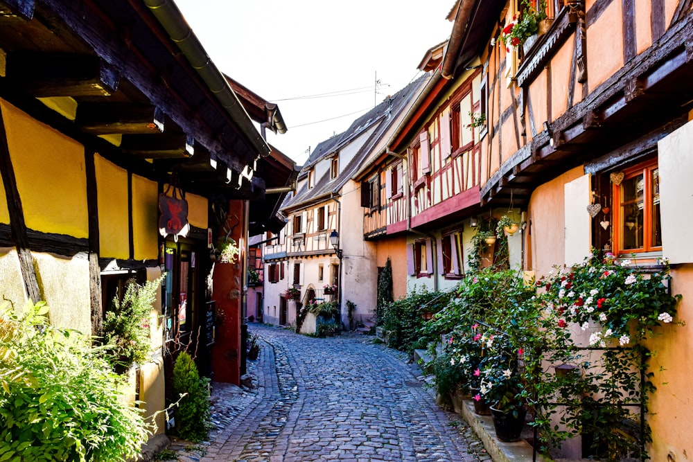 a cobble street lined with buildings