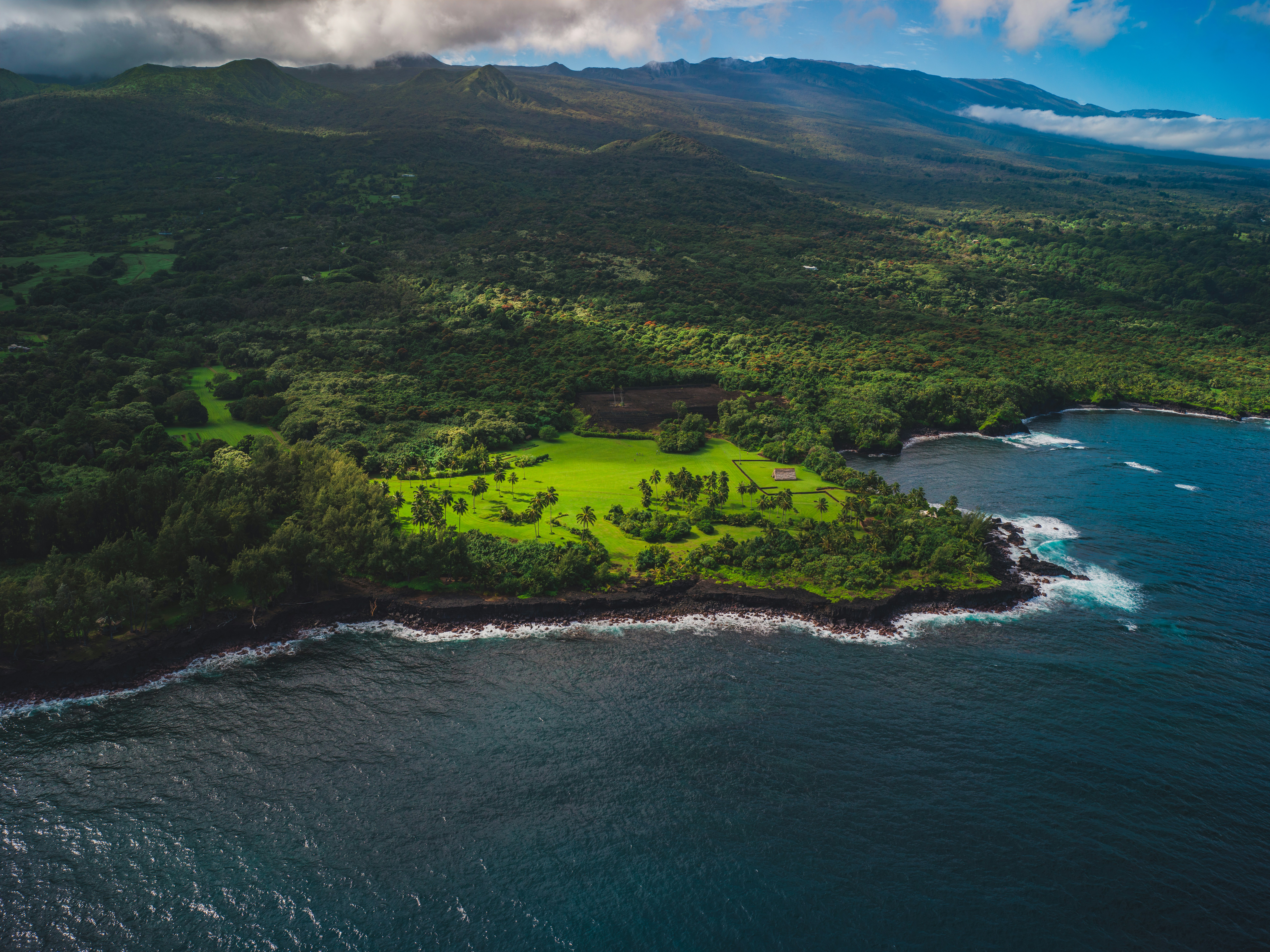 Island with trees and building