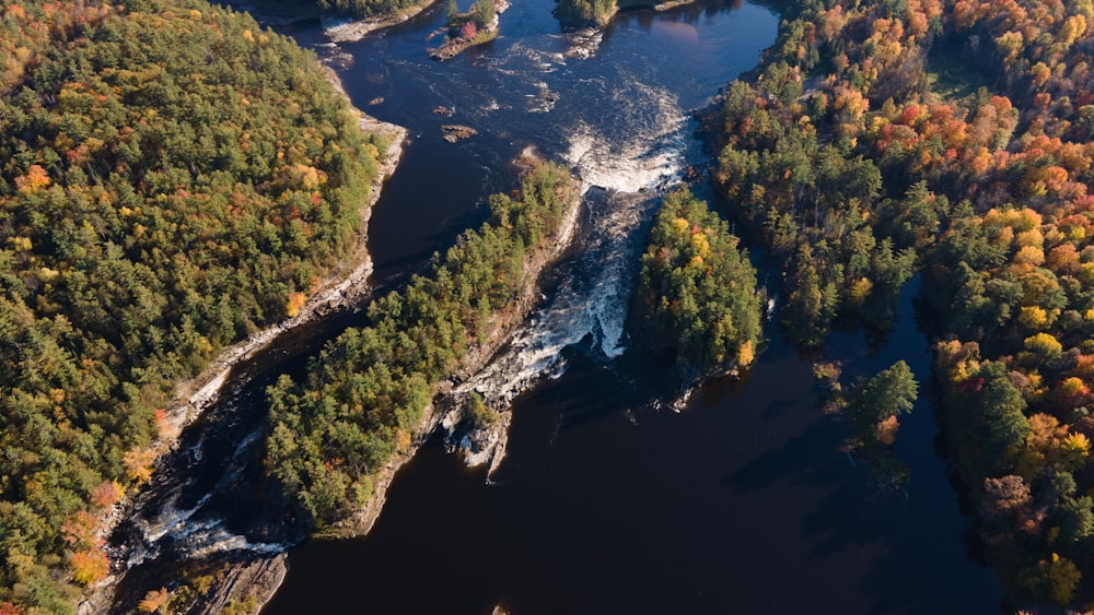 a river with trees and rocks