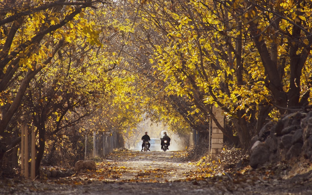 a group of people sitting on a bench in a park with trees