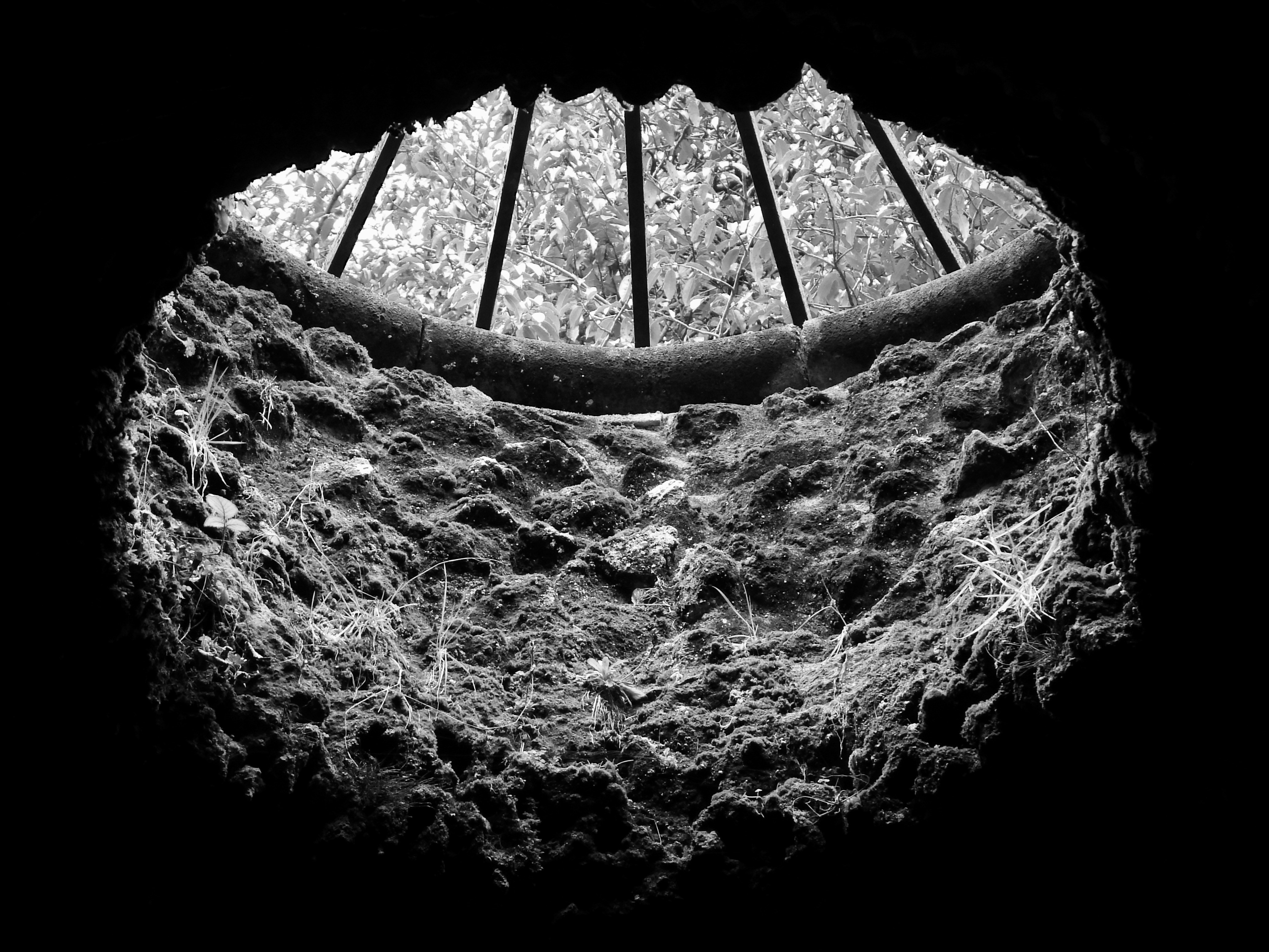 The Cellular Shift: Your Body's Silent Engine