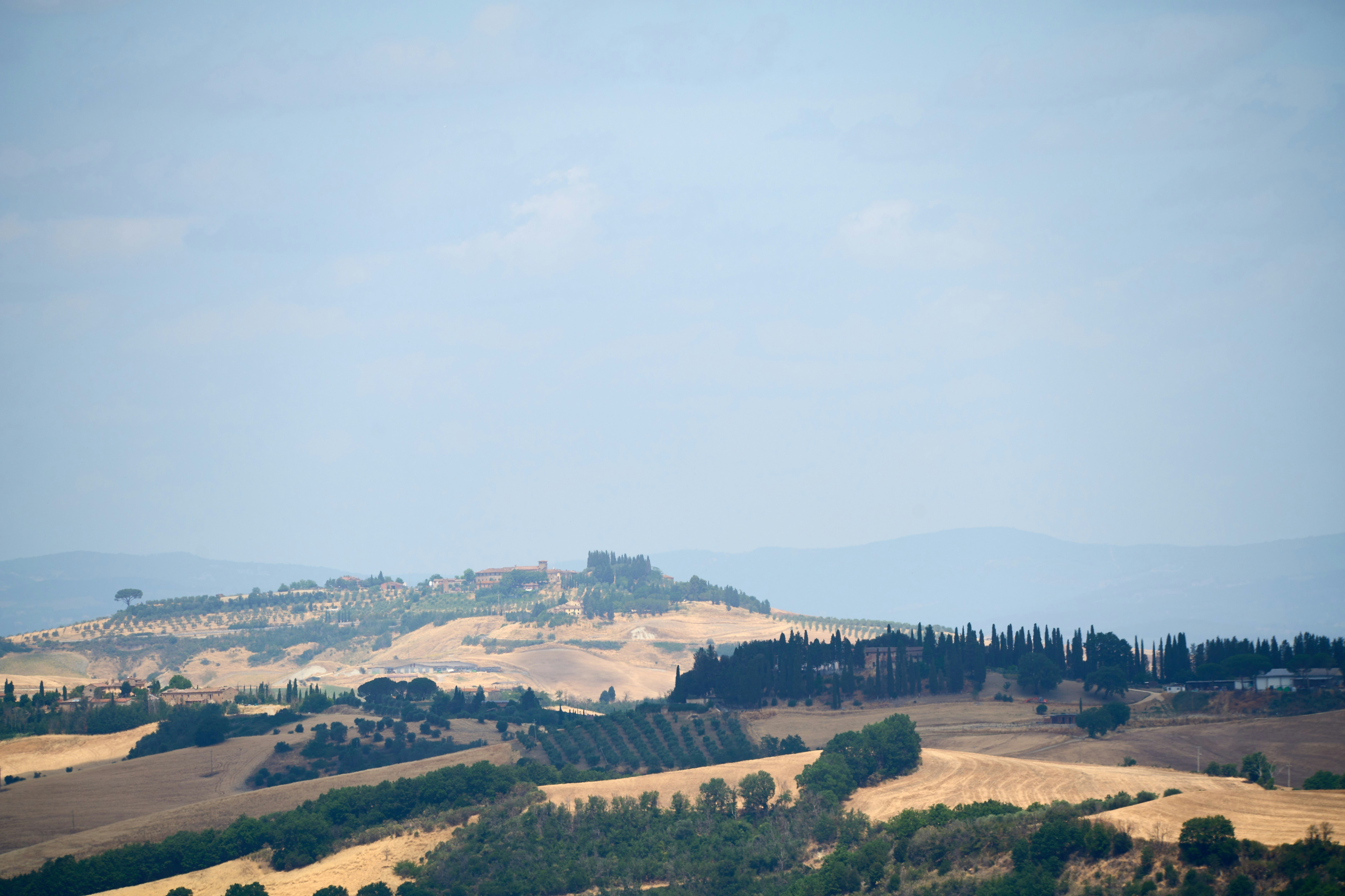 Photo by wolfgang_hasselmann