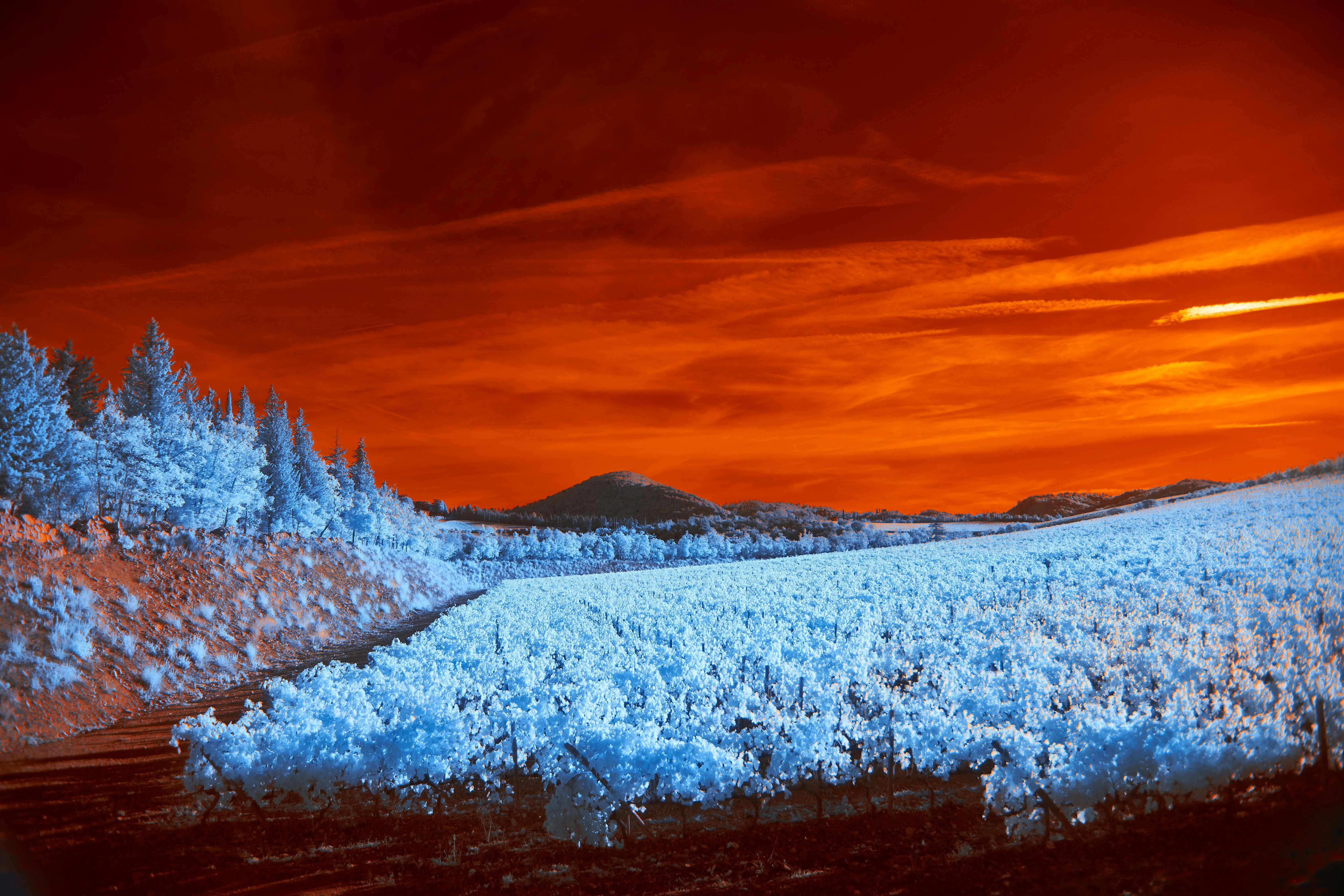 Photo by wolfgang_hasselmann