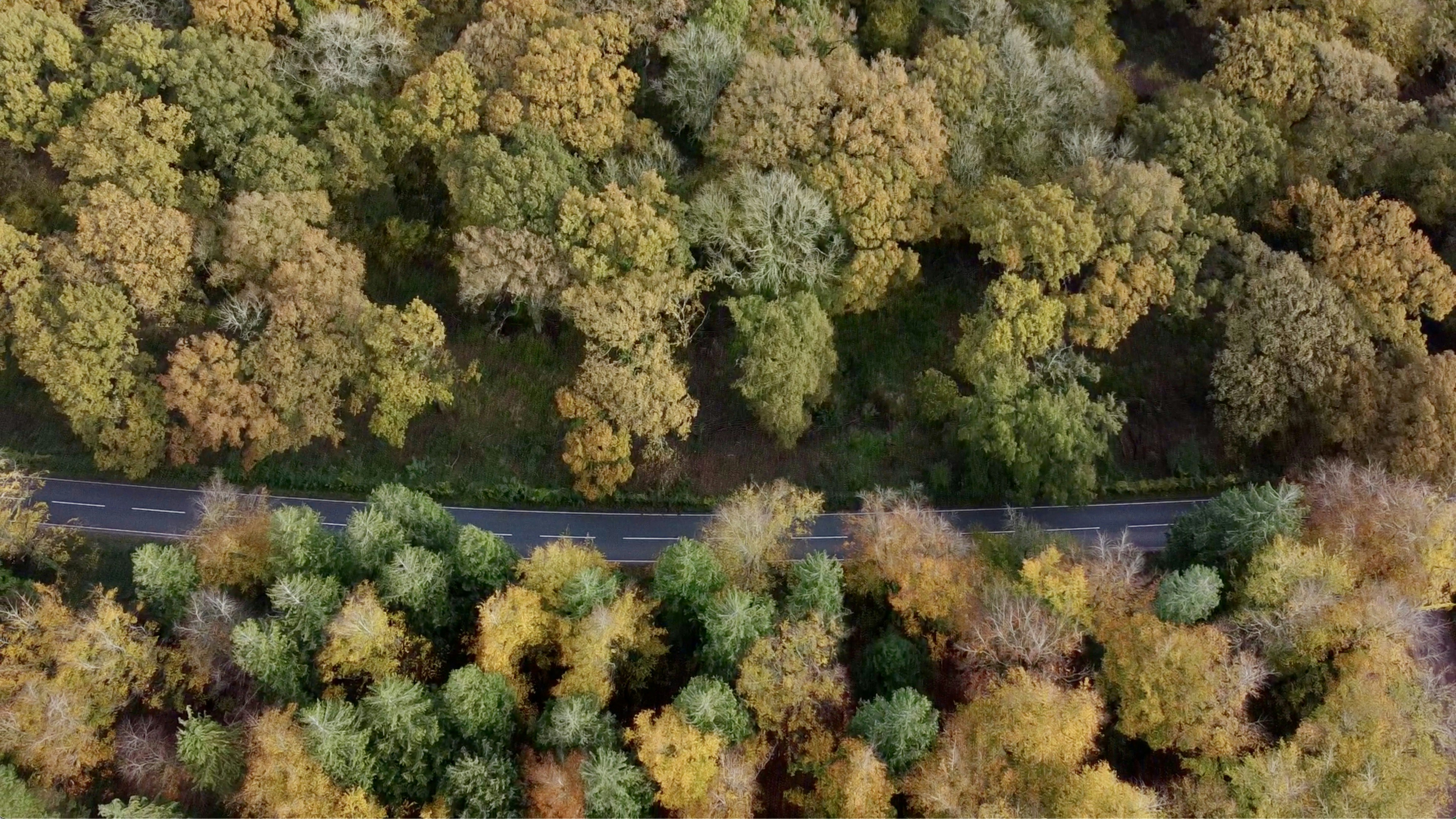 Photo by barbarian57