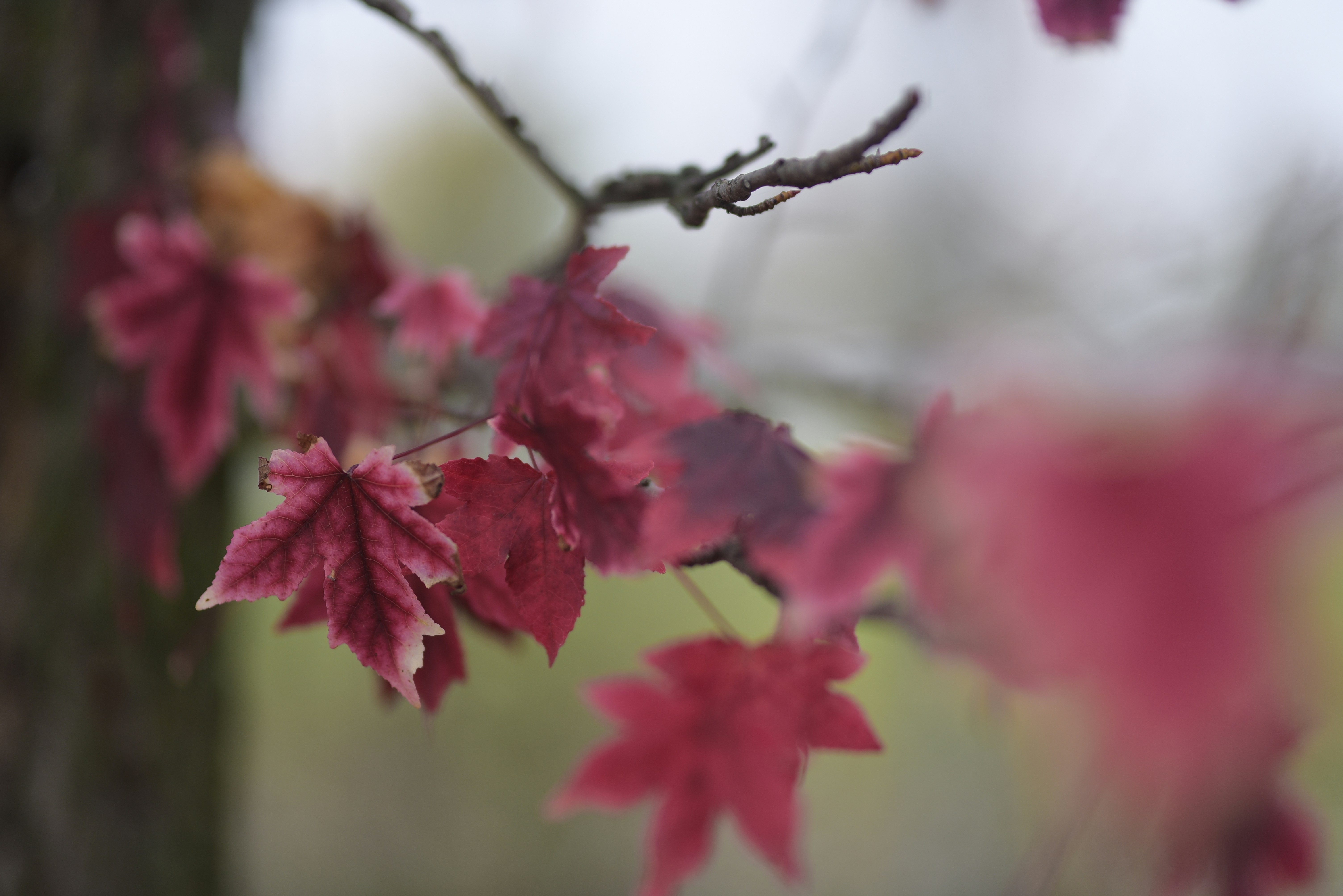 Photo by john_allenph