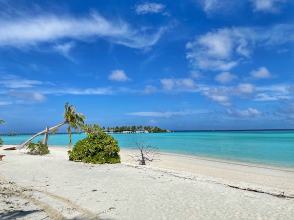 A serene tropical beach with white sand and clear turquoise water. Palm trees and lush greenery line the shore, while a distant pier extends over the water. The sky is bright blue with scattered white clouds.