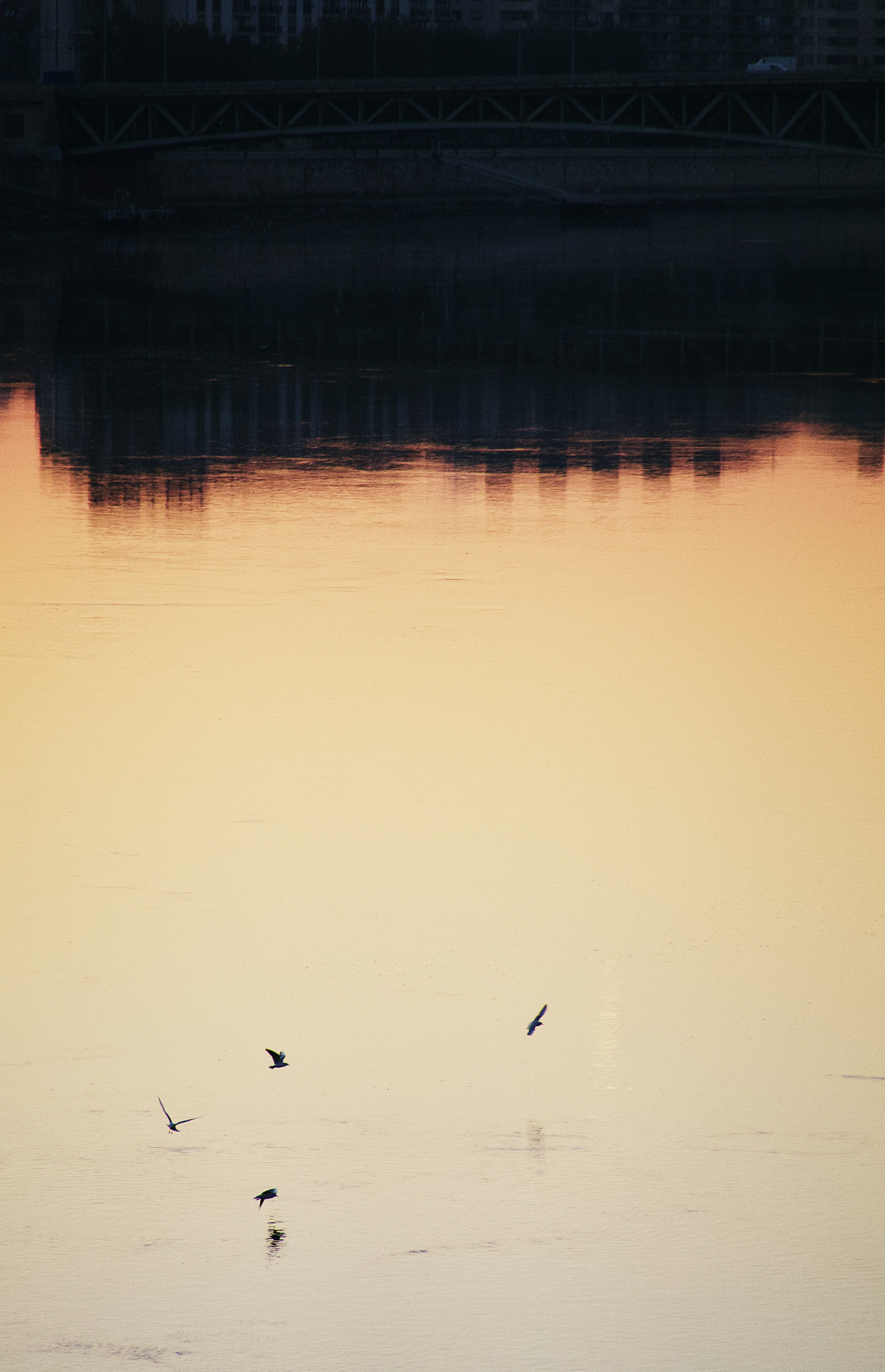 Photo by mihaly_koles