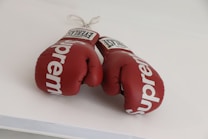 A pair of red boxing gloves with the brand names 'Supreme' and 'Everlast' are placed on a white surface. The gloves appear new and are tied together with a white cord.