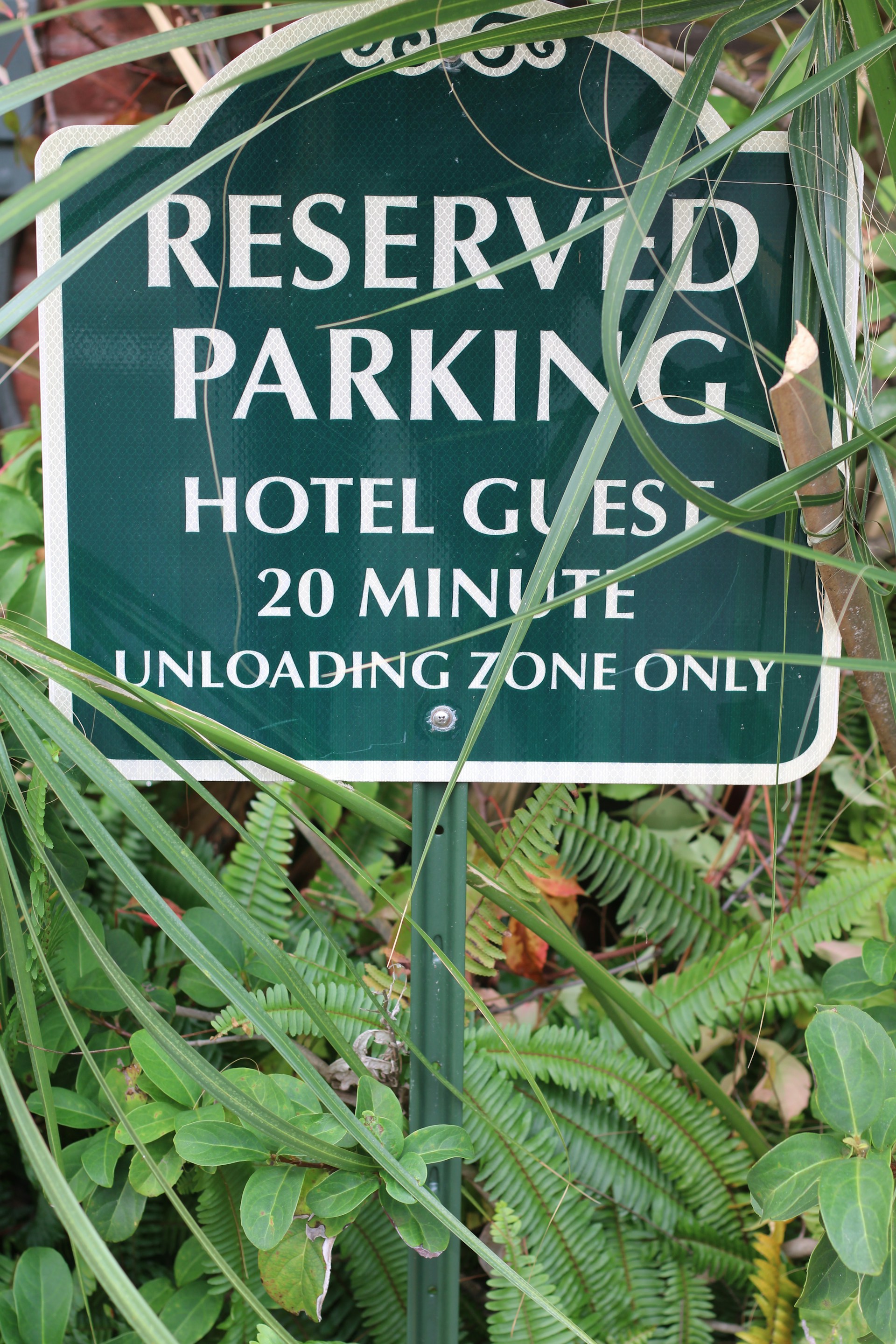 a sign on a plant
