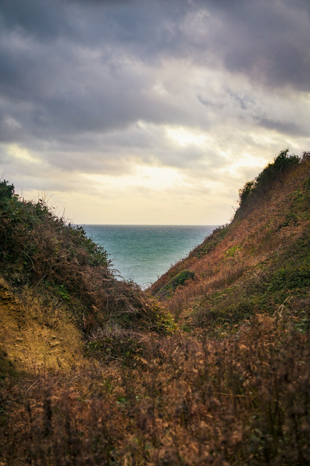 uma vista do oceano de uma colina