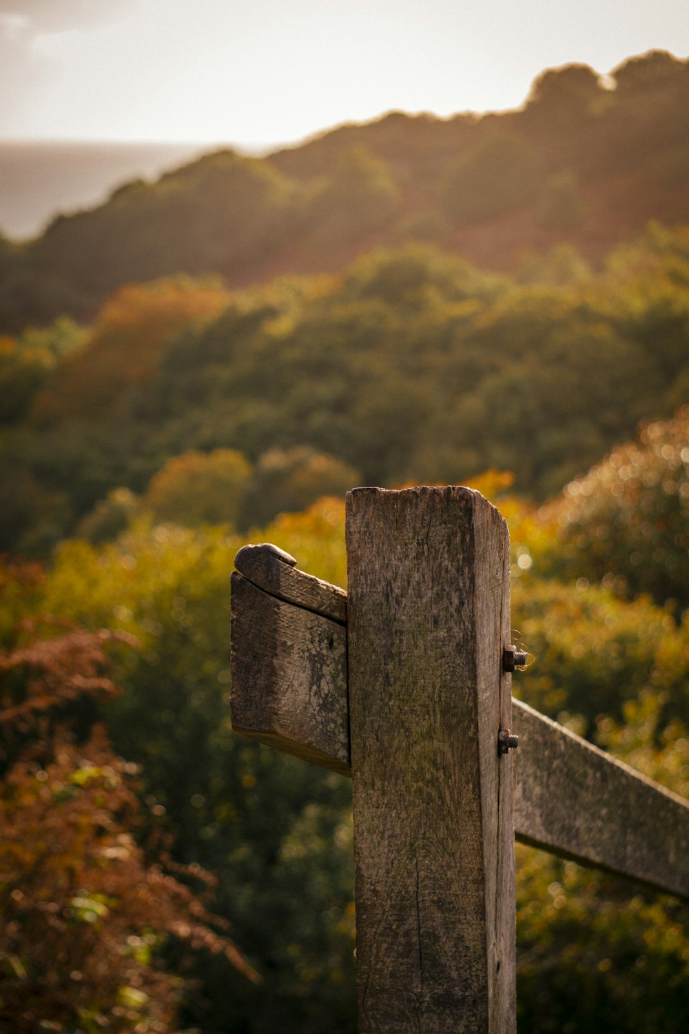a wooden fence with trees in the background