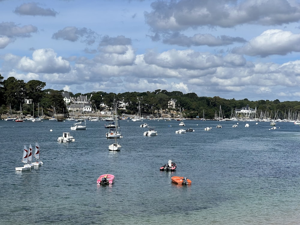 a group of boats are in the water