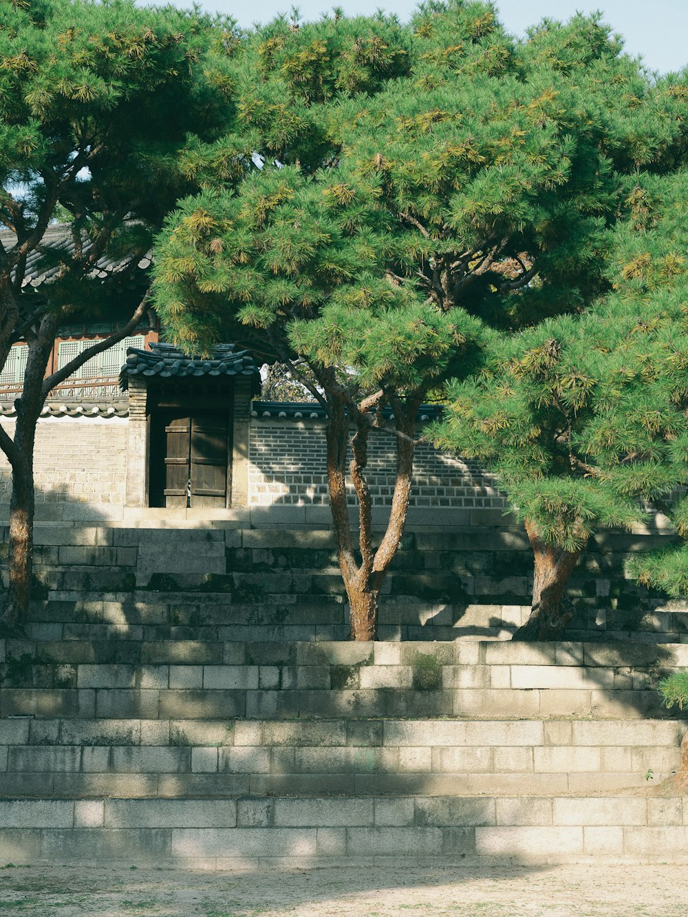 a tree next to a building