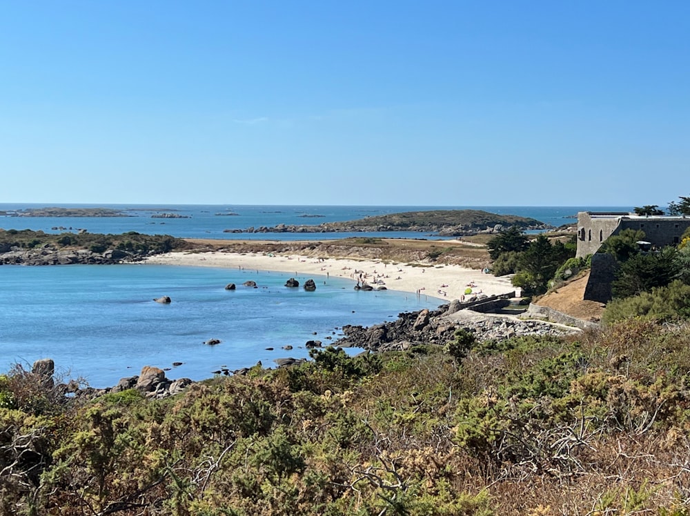 a beach with a body of water