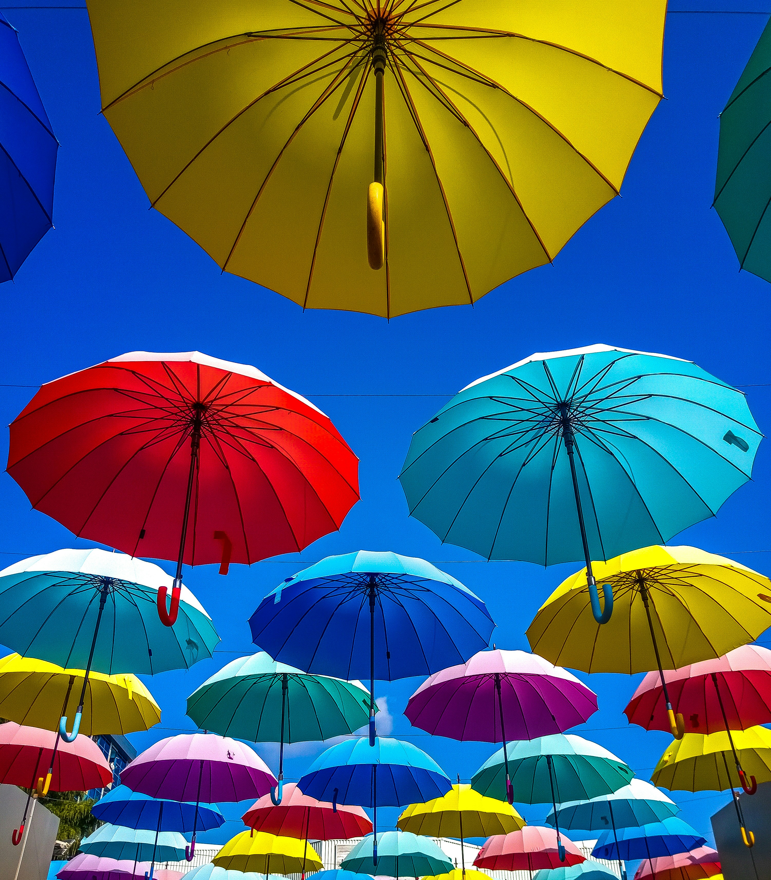 Photo by dragoncy635