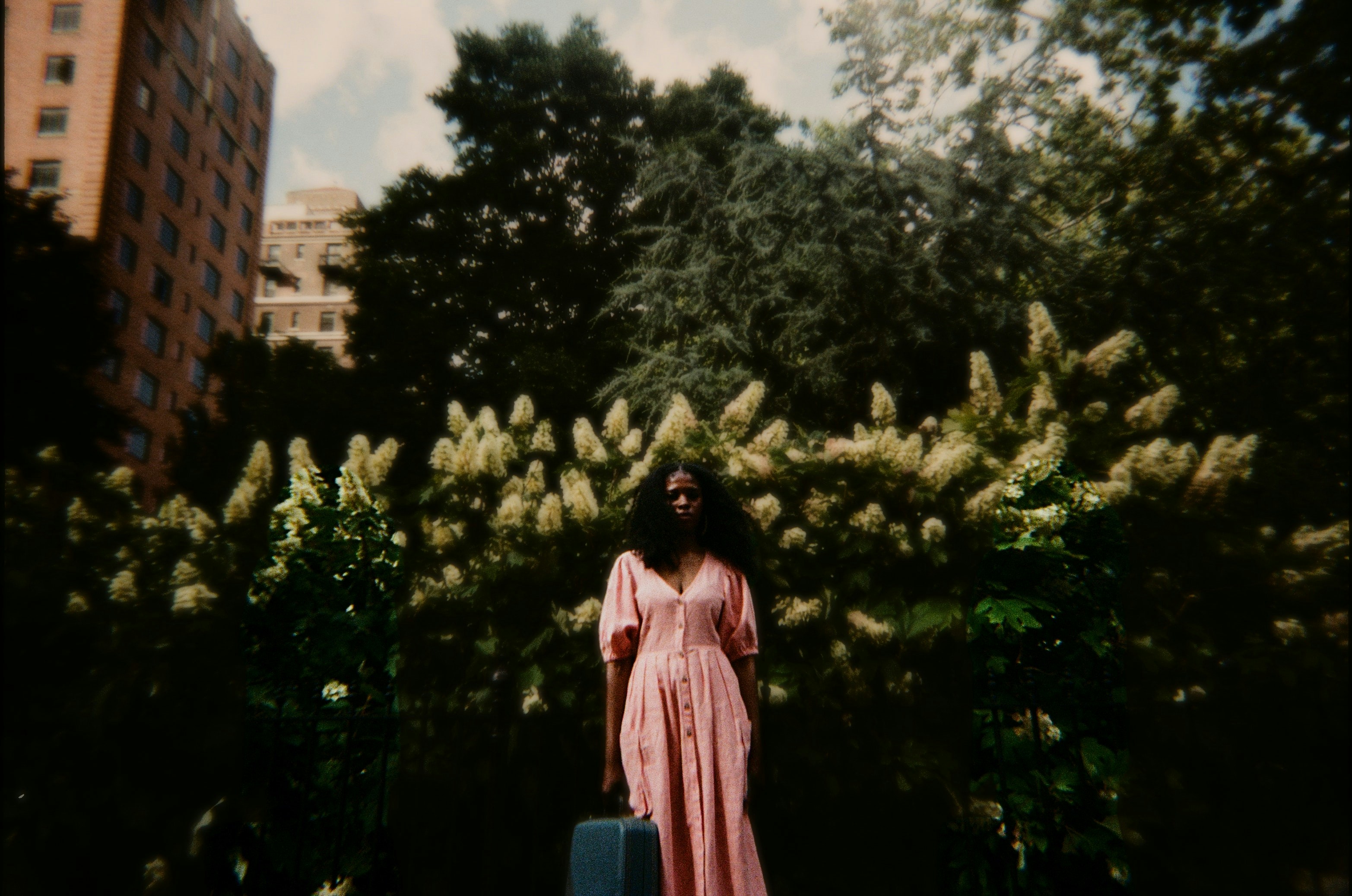a person standing in front of a tree