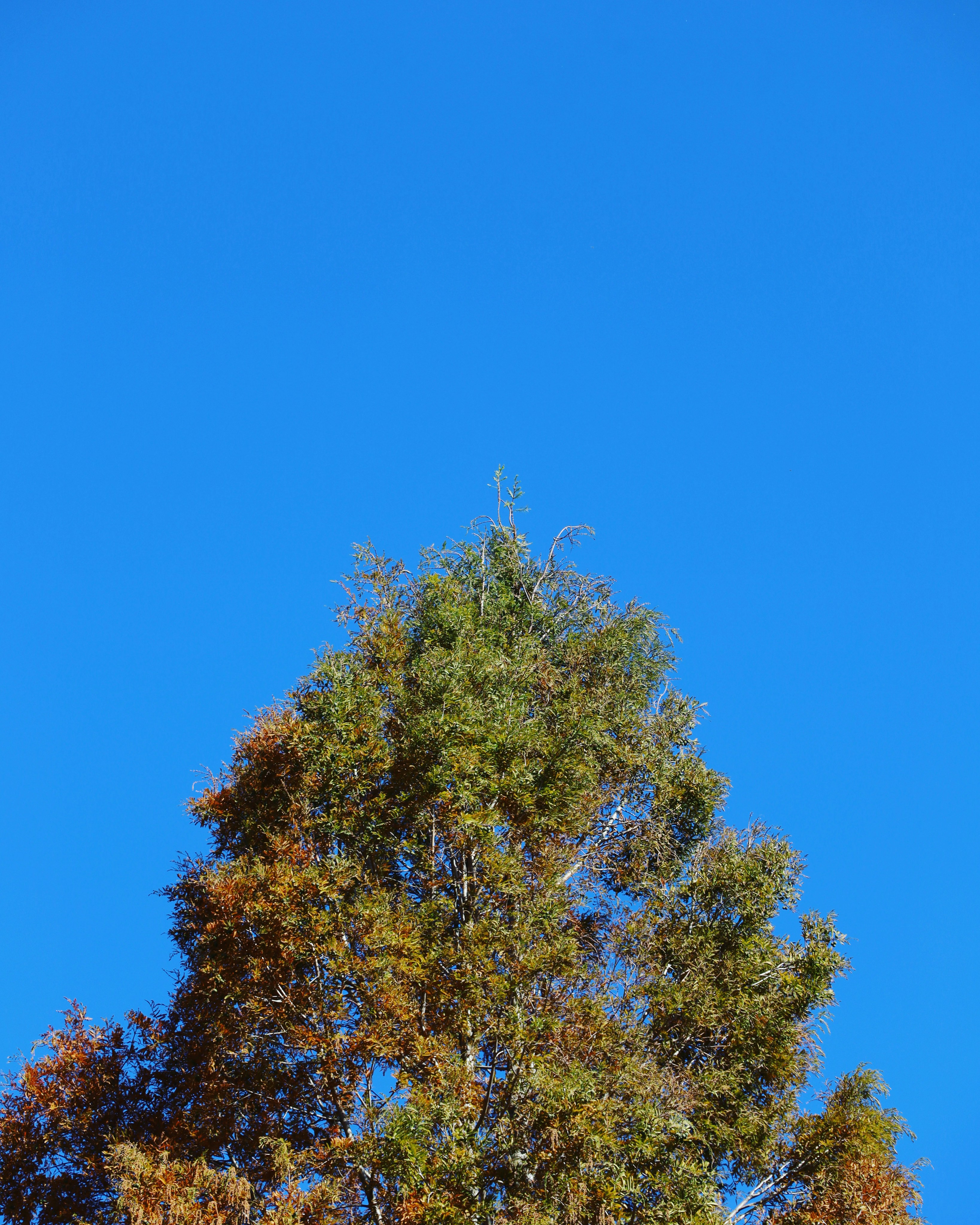 Photo by blueskywalker