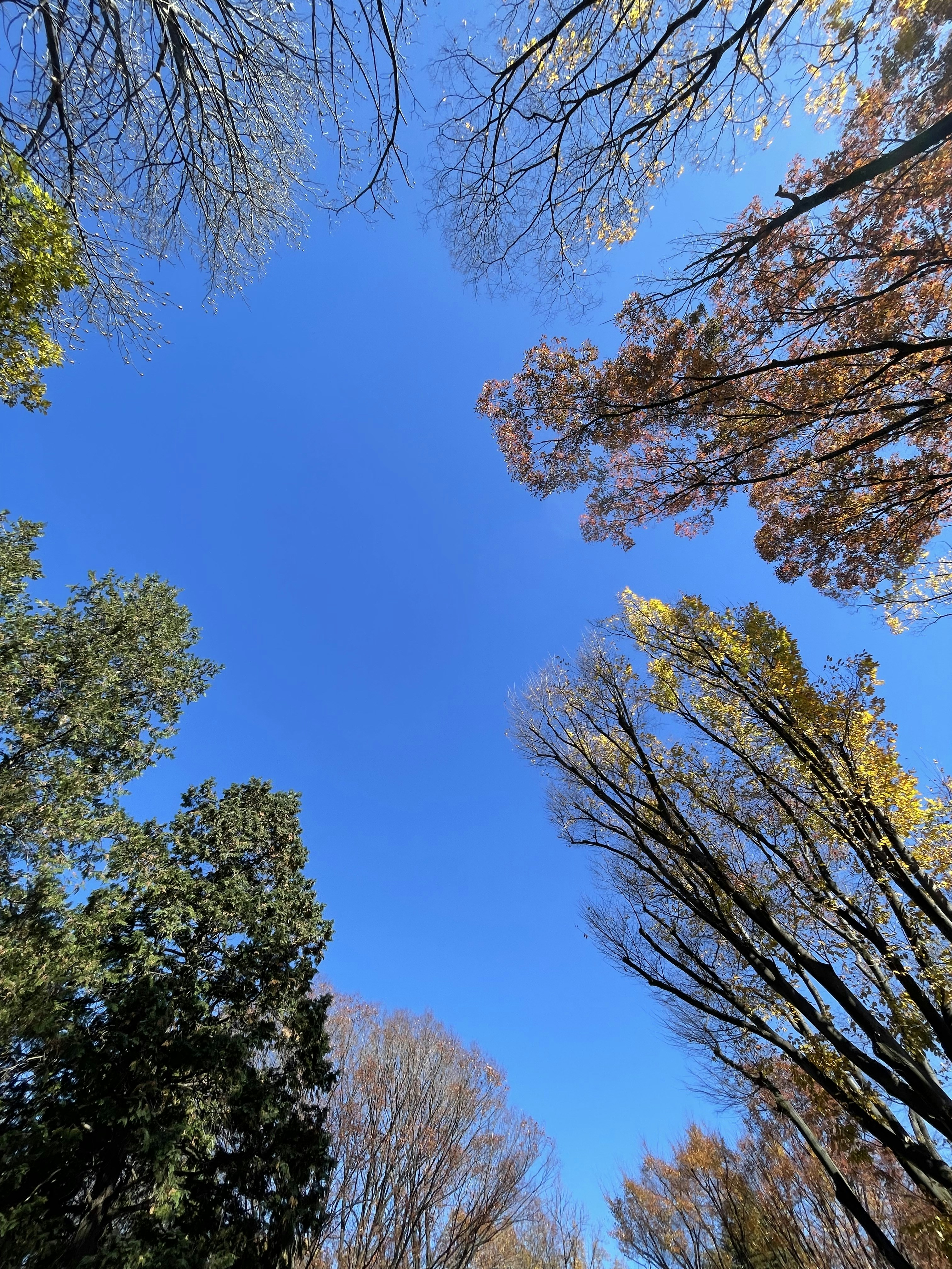 Photo by blueskywalker