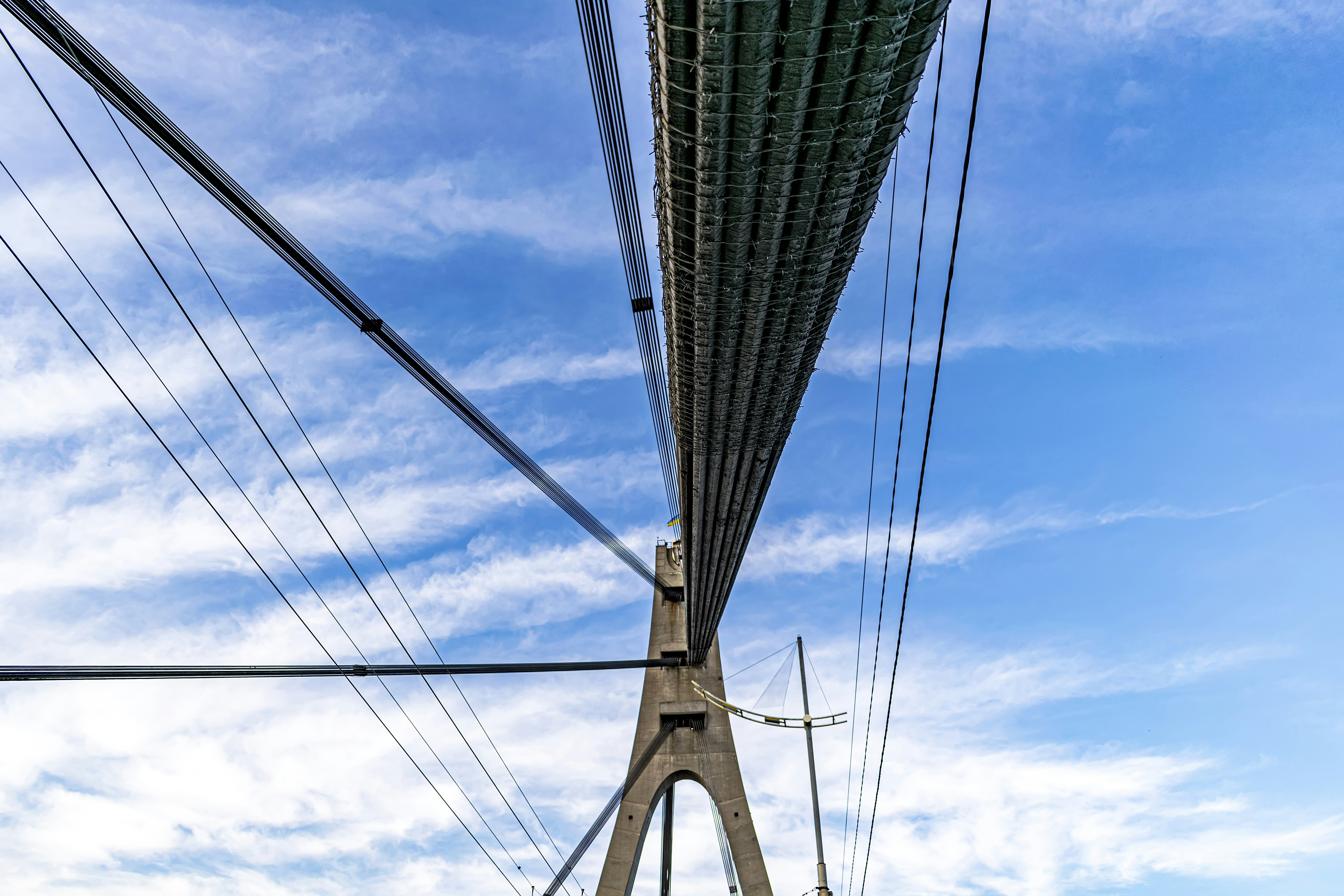 Photo by kostiantynvierkieiev