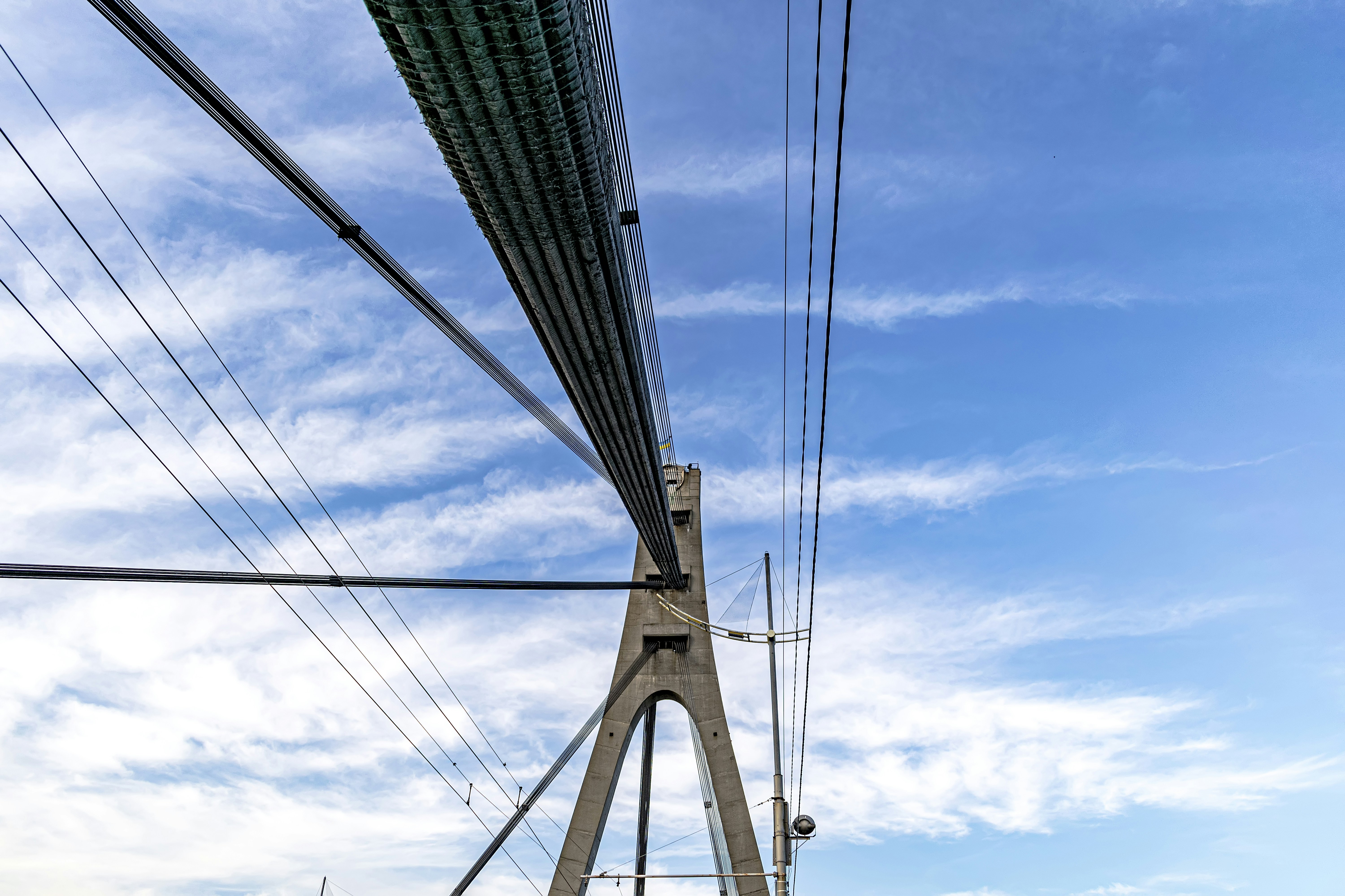 Photo by kostiantynvierkieiev