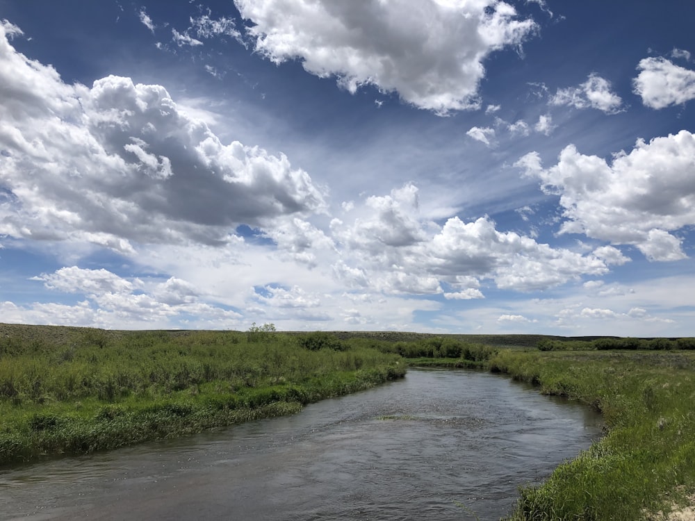 a river with grass and trees on the side