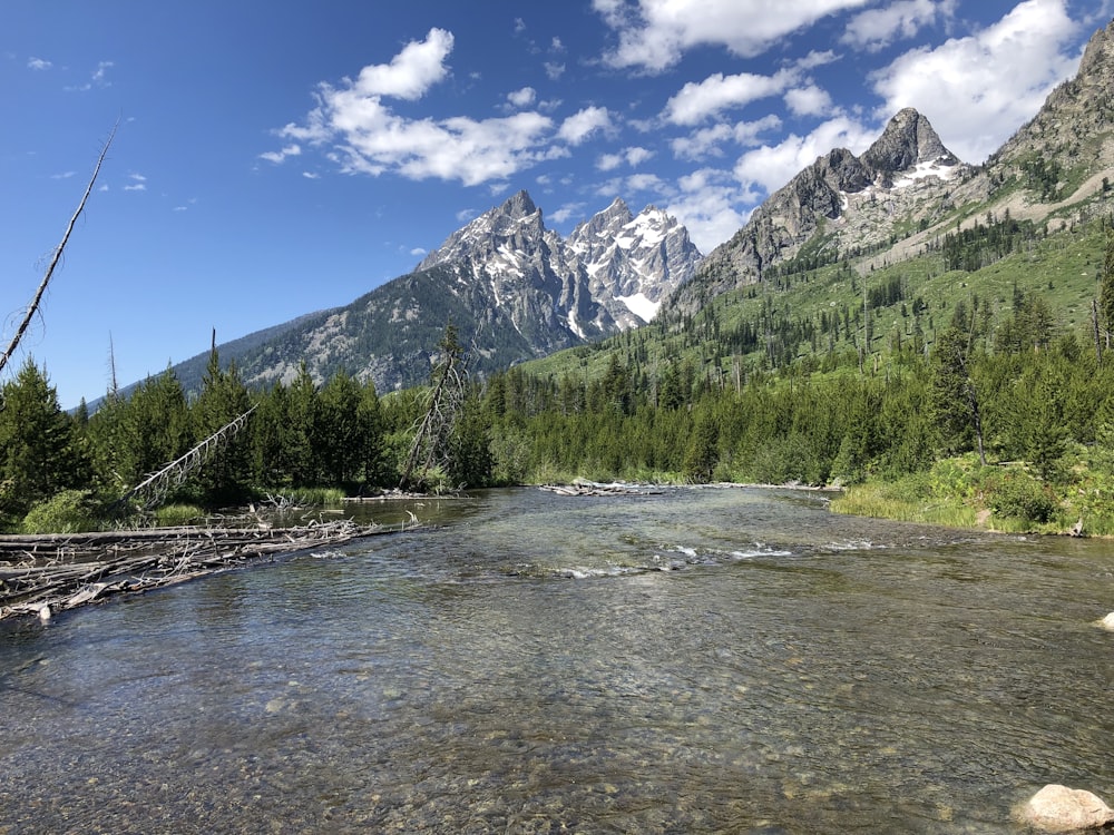 a river with trees and mountains in the background