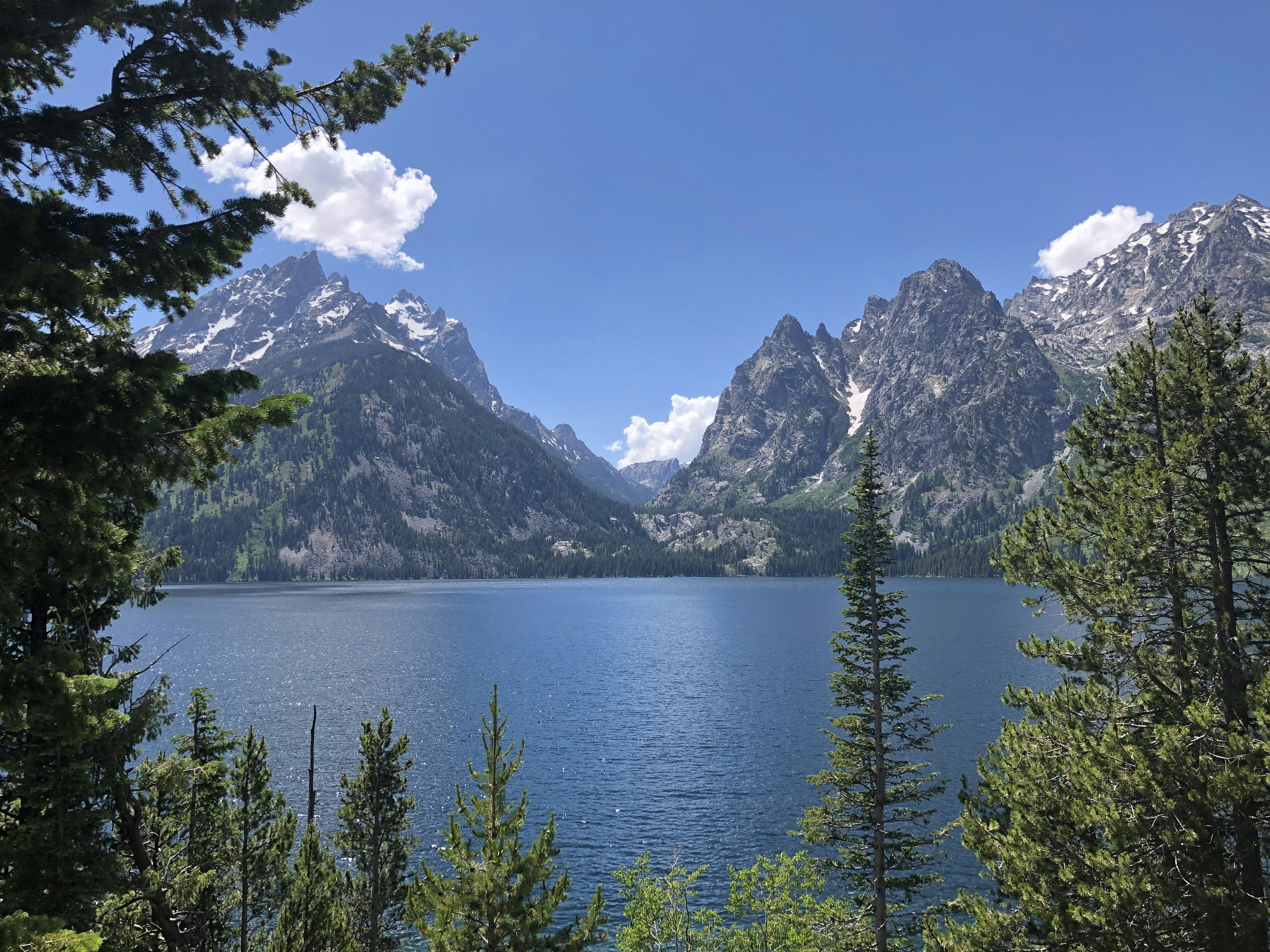 Photo by tyler_mower