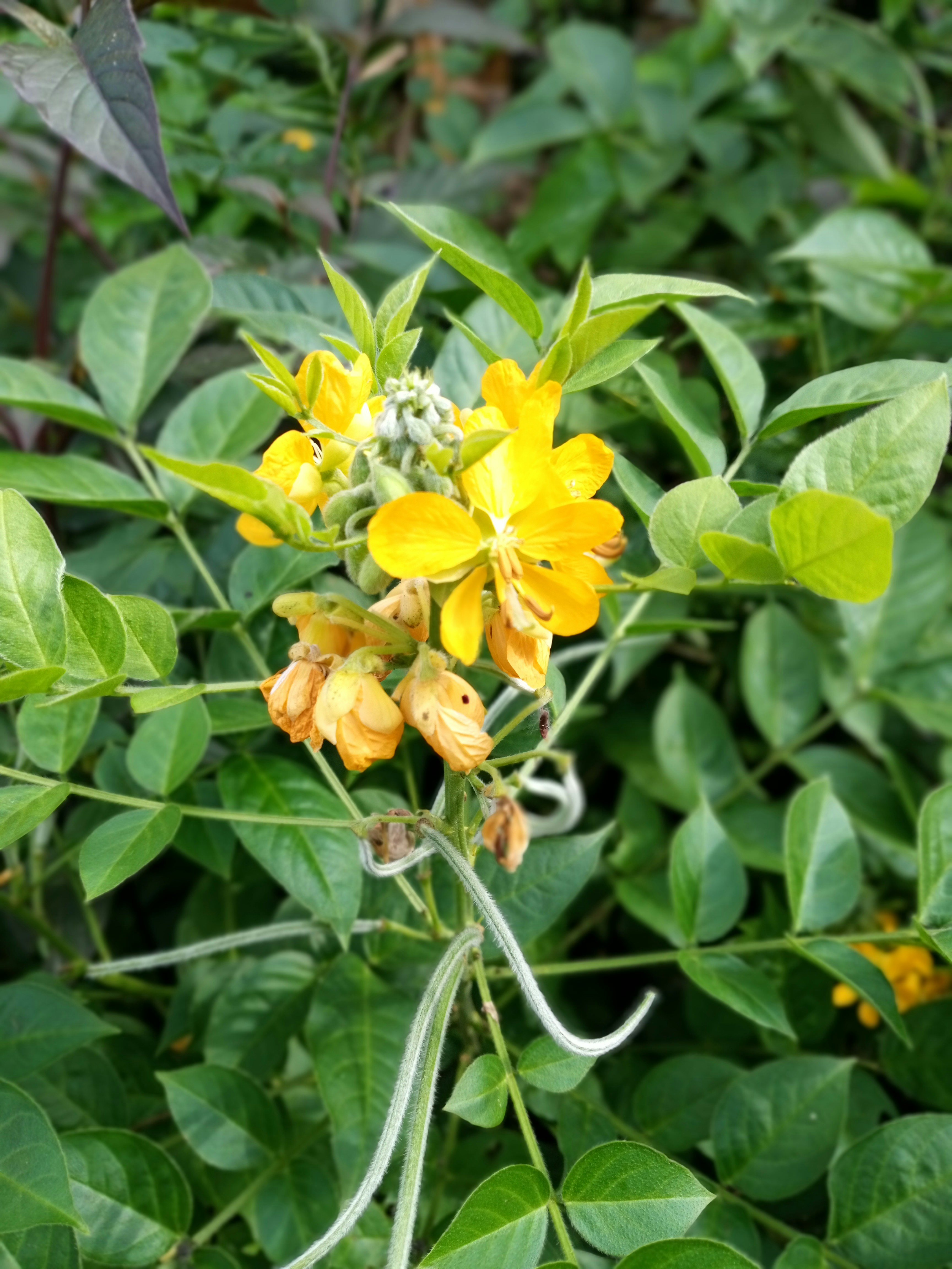 Photo by oromas_corner