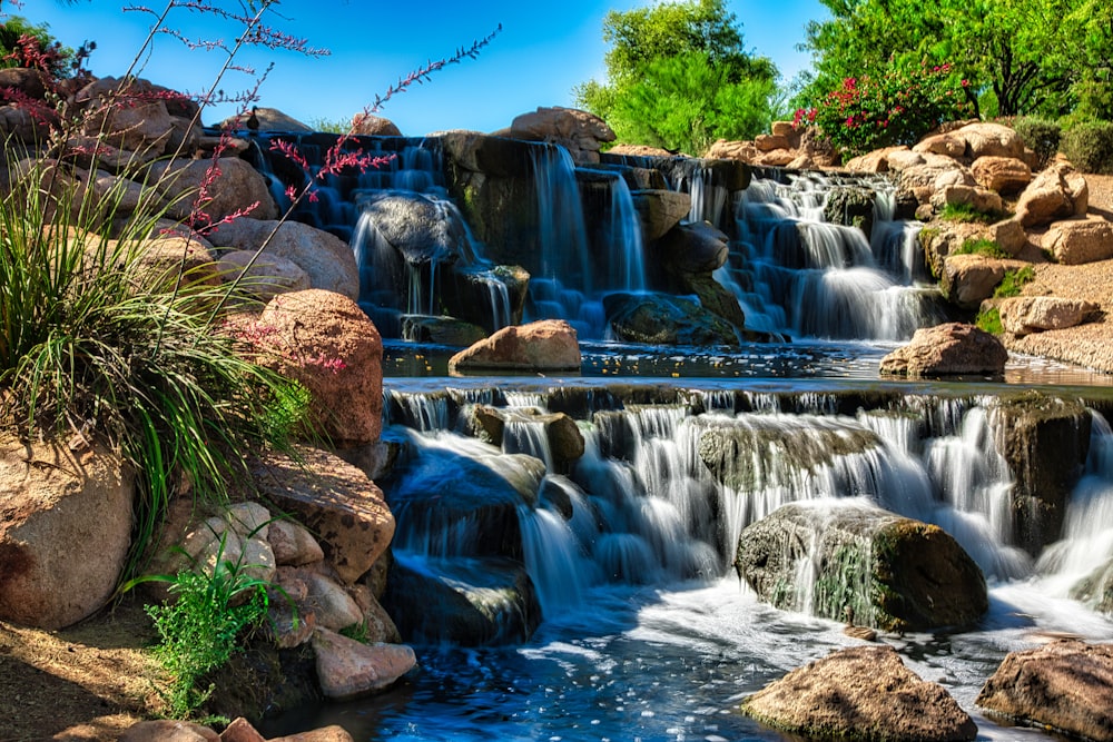 a waterfall with rocks and plants