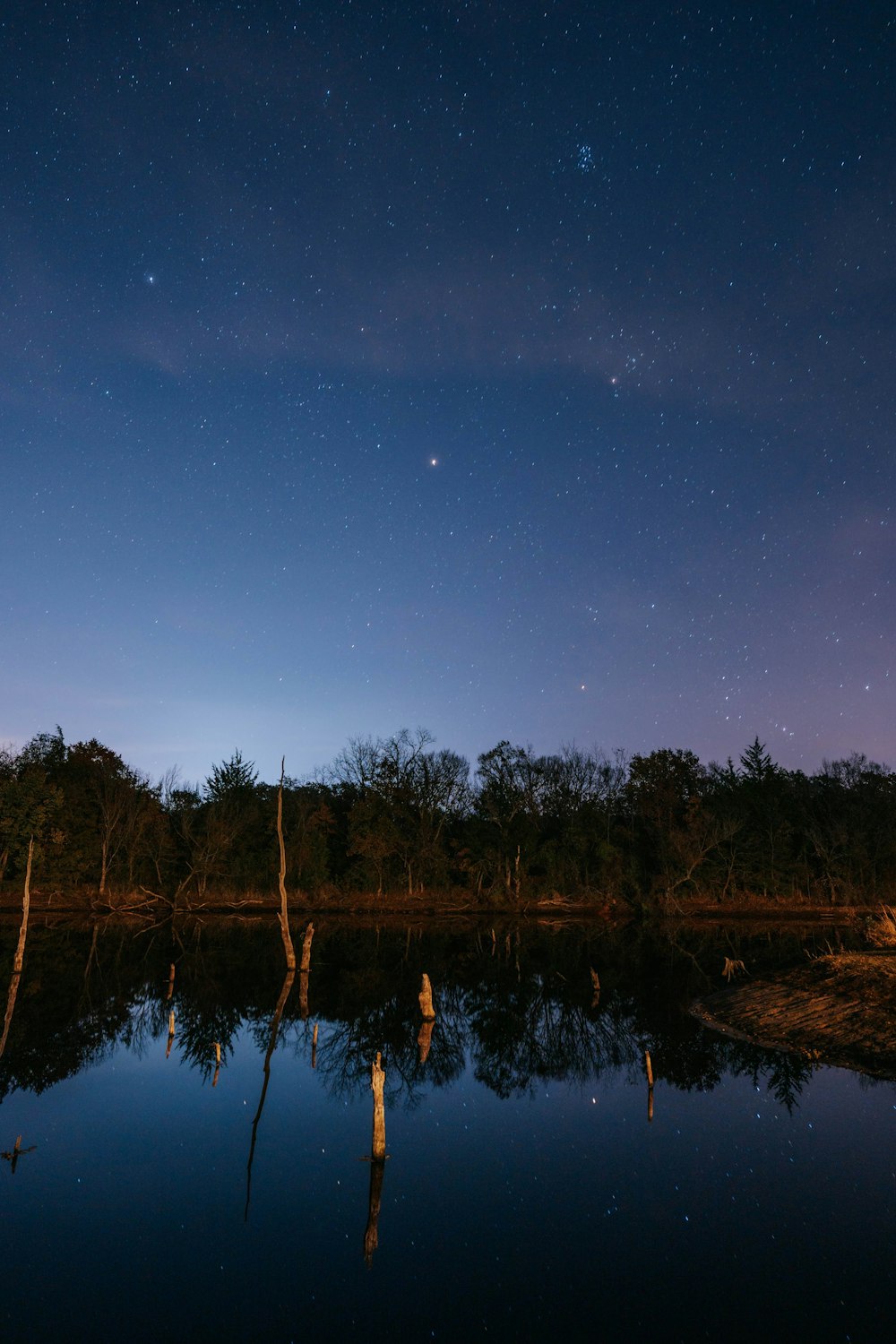 a body of water with trees and a blue sky in the background