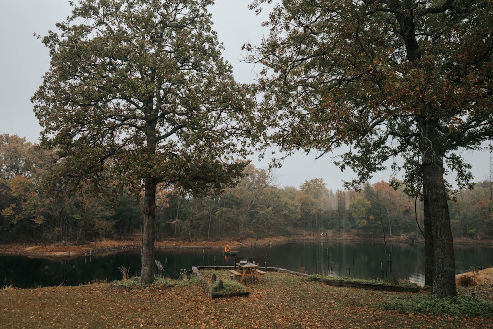 a lake with trees around it