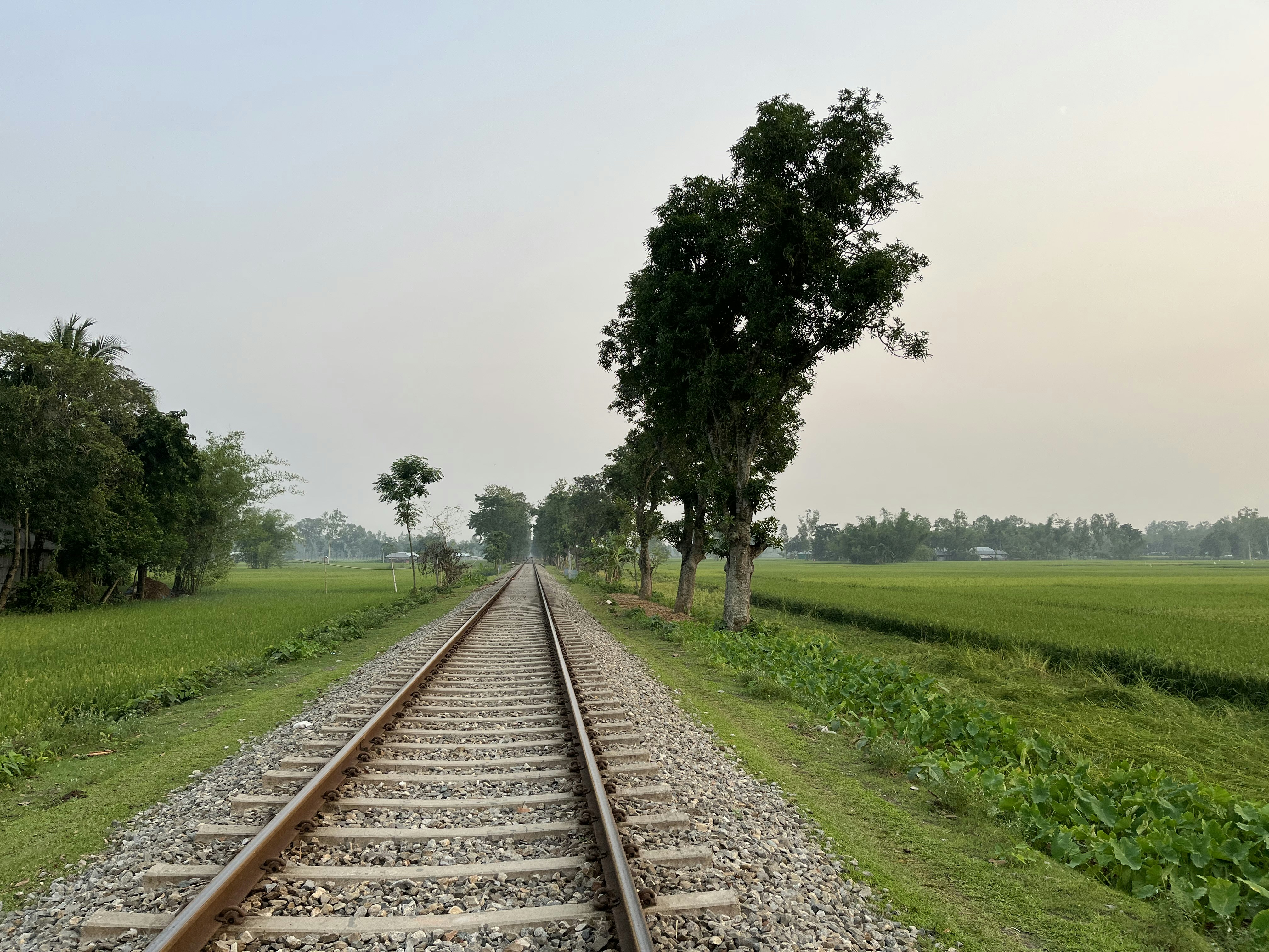 a train track with trees on the side