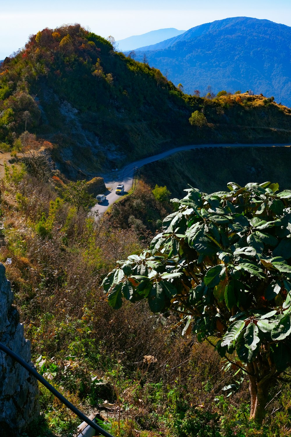 a road going through a valley