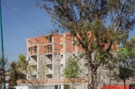 A partially constructed building with exposed brick walls and concrete pillars stands behind some trees. The structure appears to be in the early stages of development, with scaffolding and reinforcement bars visible. The scene is set against a clear blue sky, and the foreground features several trees with green leaves.