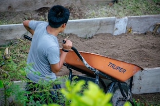 A person in a gray t-shirt is pushing an orange wheelbarrow labeled 'Truper' filled with soil. The scene is outdoors, possibly in a garden, with some green plants in the foreground and raised garden beds in the background.