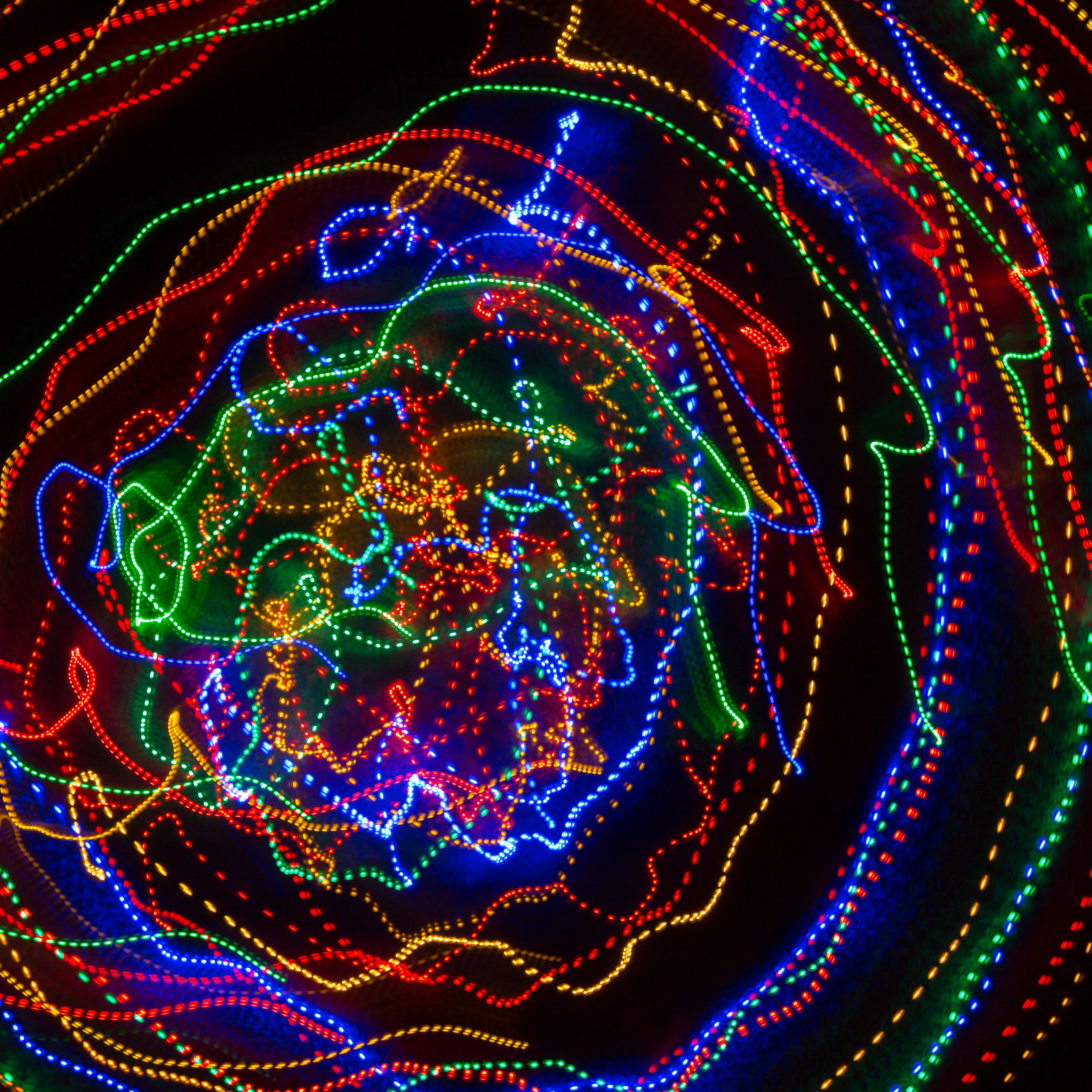 a close-up of a spiral