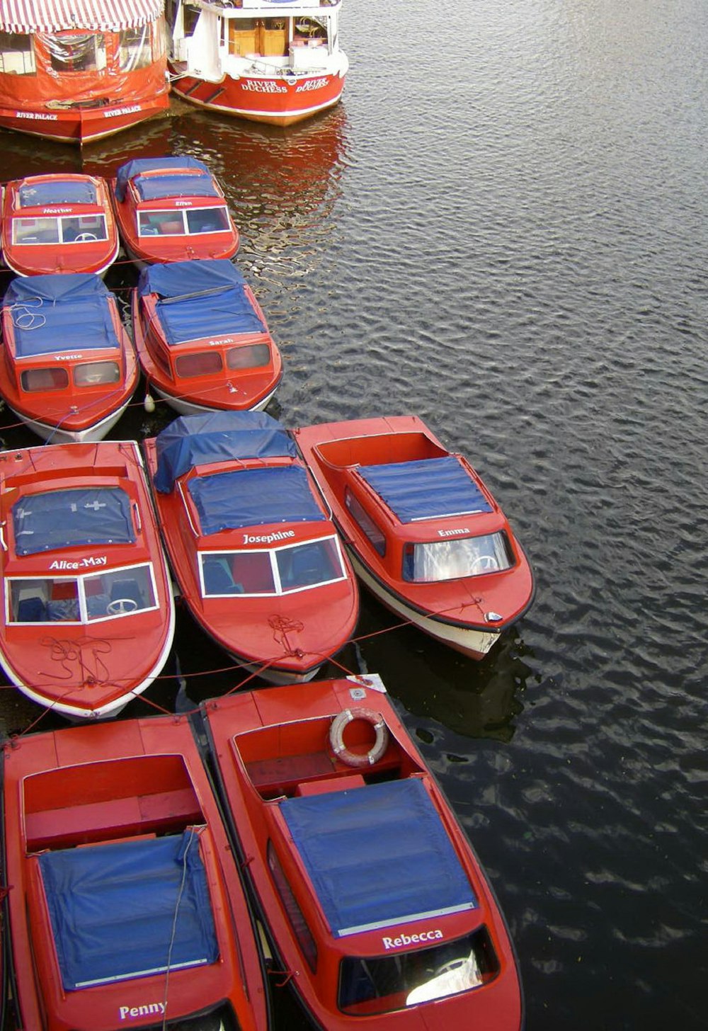 a group of boats in a harbor