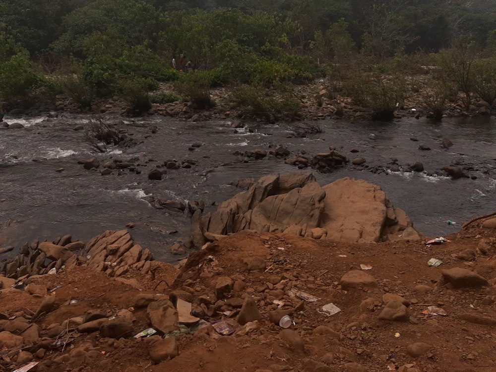 a river with rocks and trees