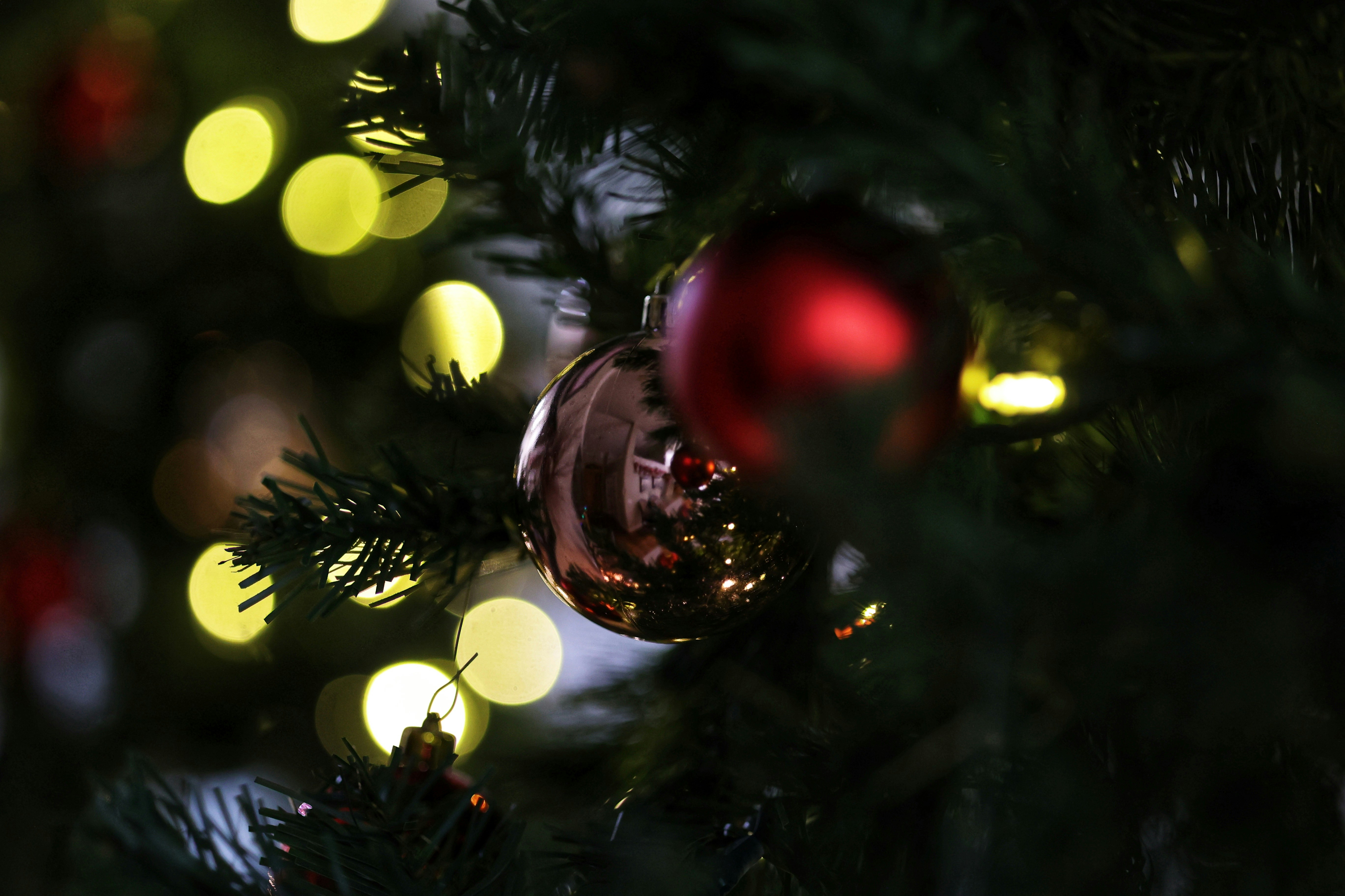 Photo by joshua_hoehne