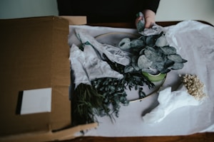 a box with a plant inside