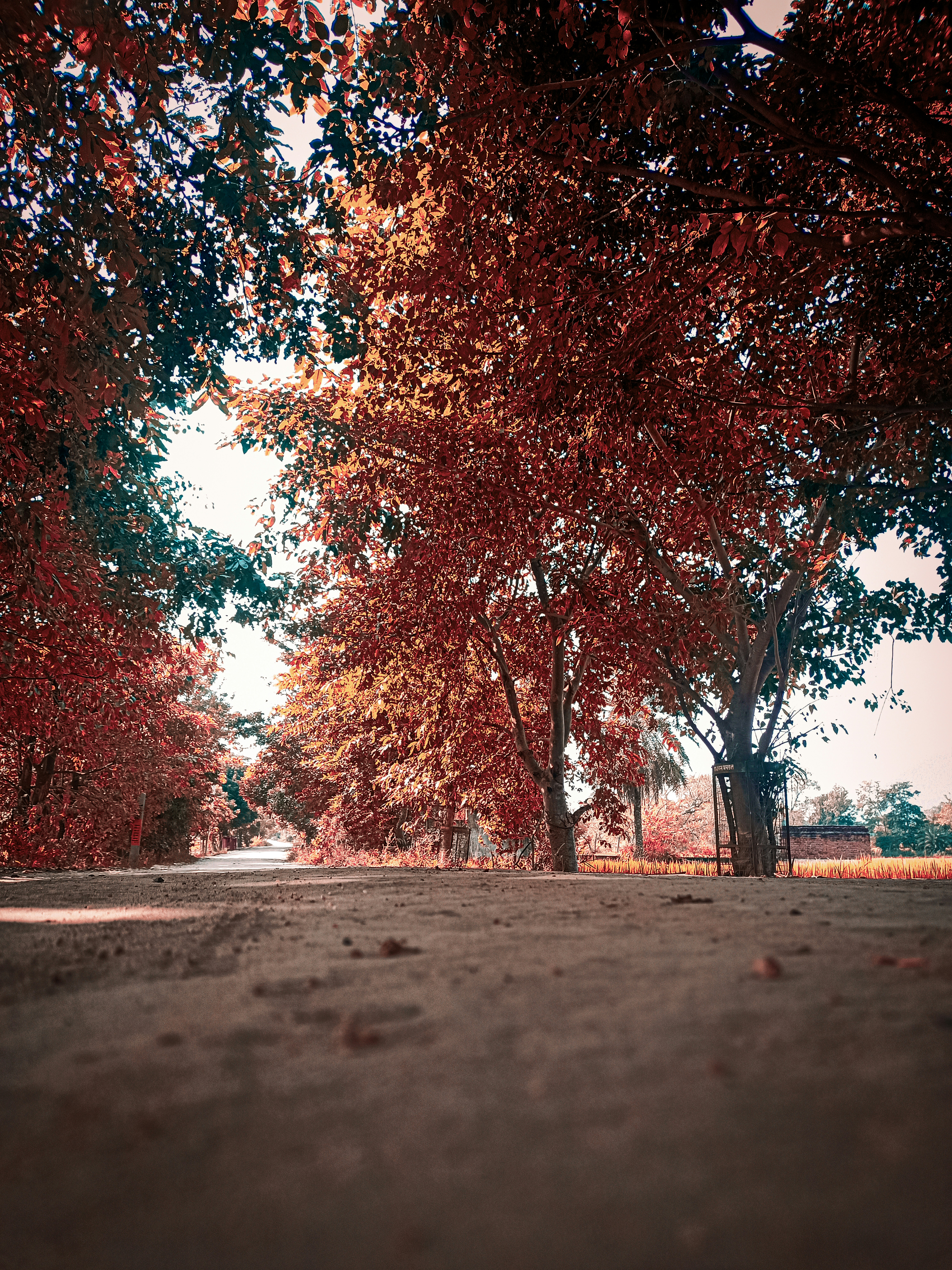 Photo by nomad_bipin